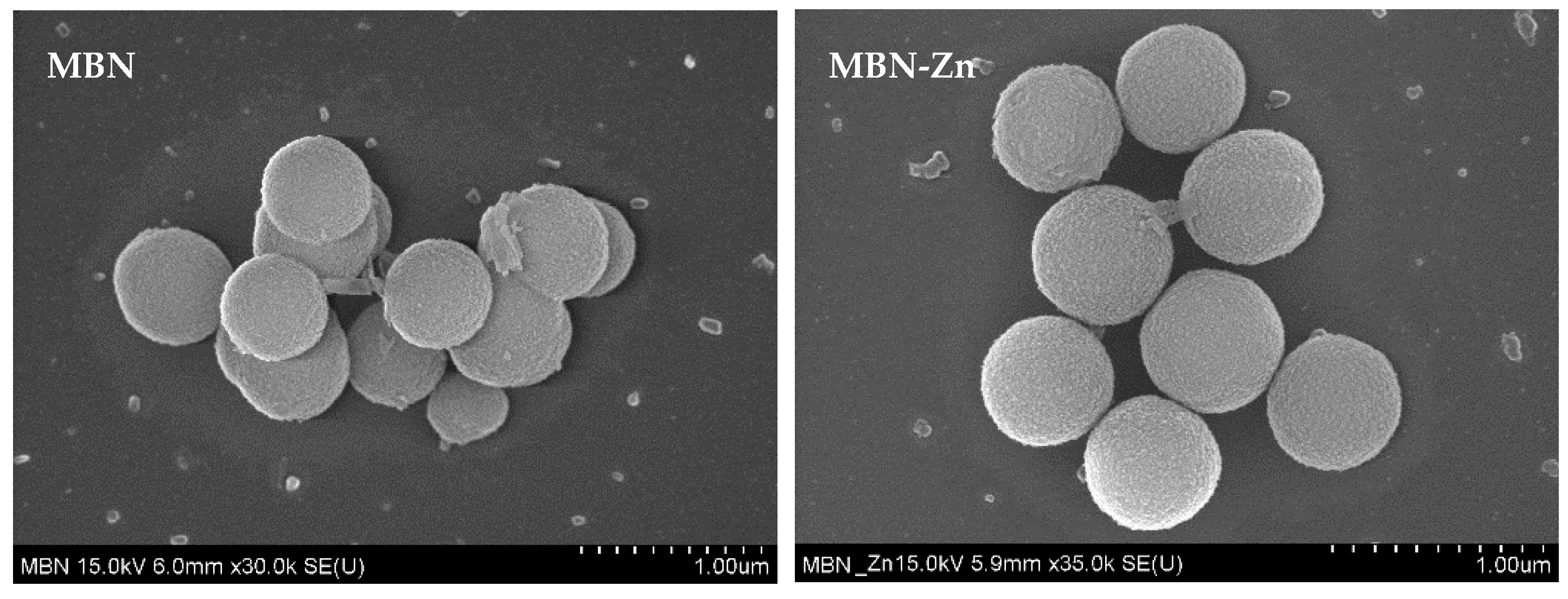 Nanomaterials 10 01943 g001
