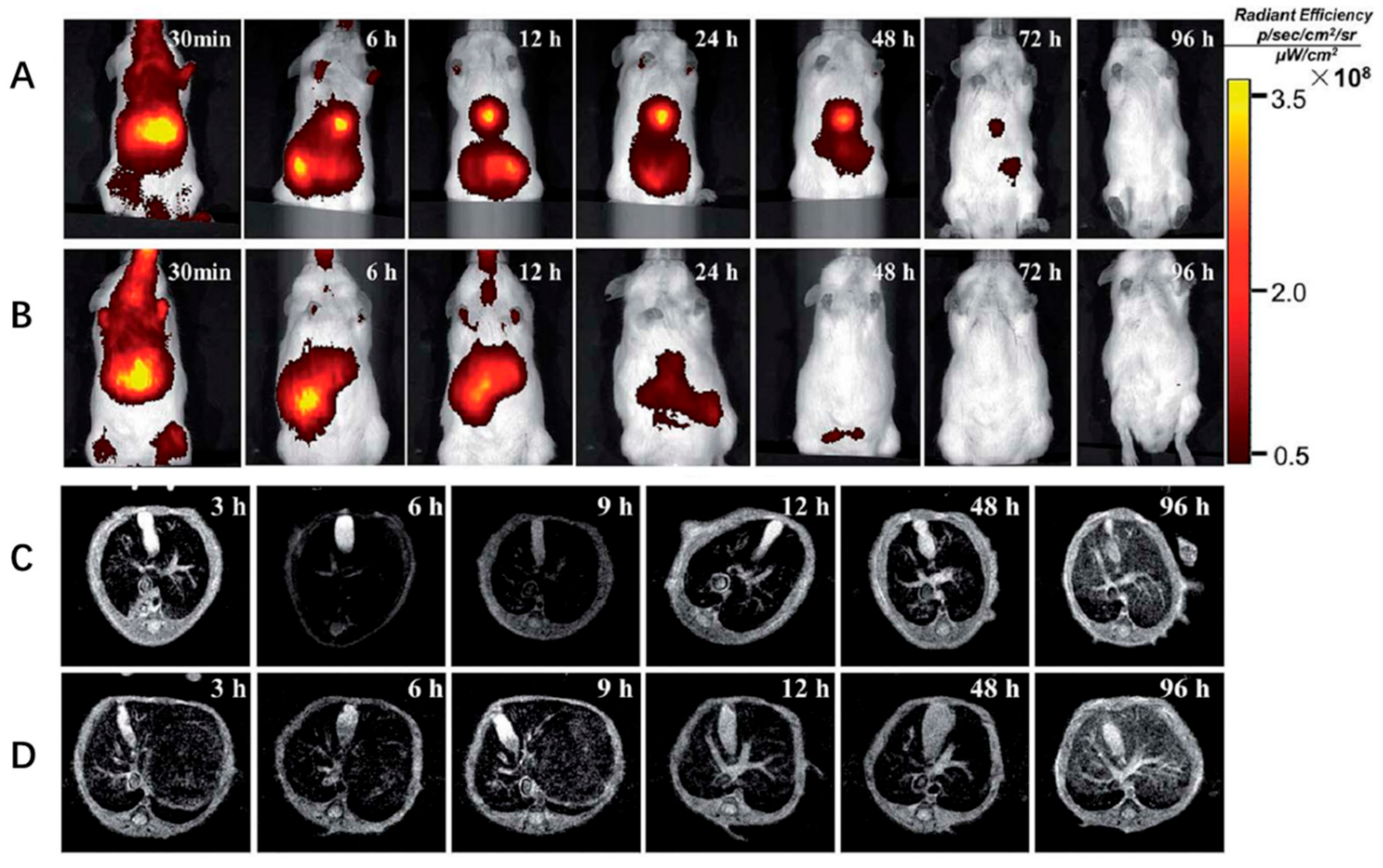 Nanomaterials 10 01945 g002