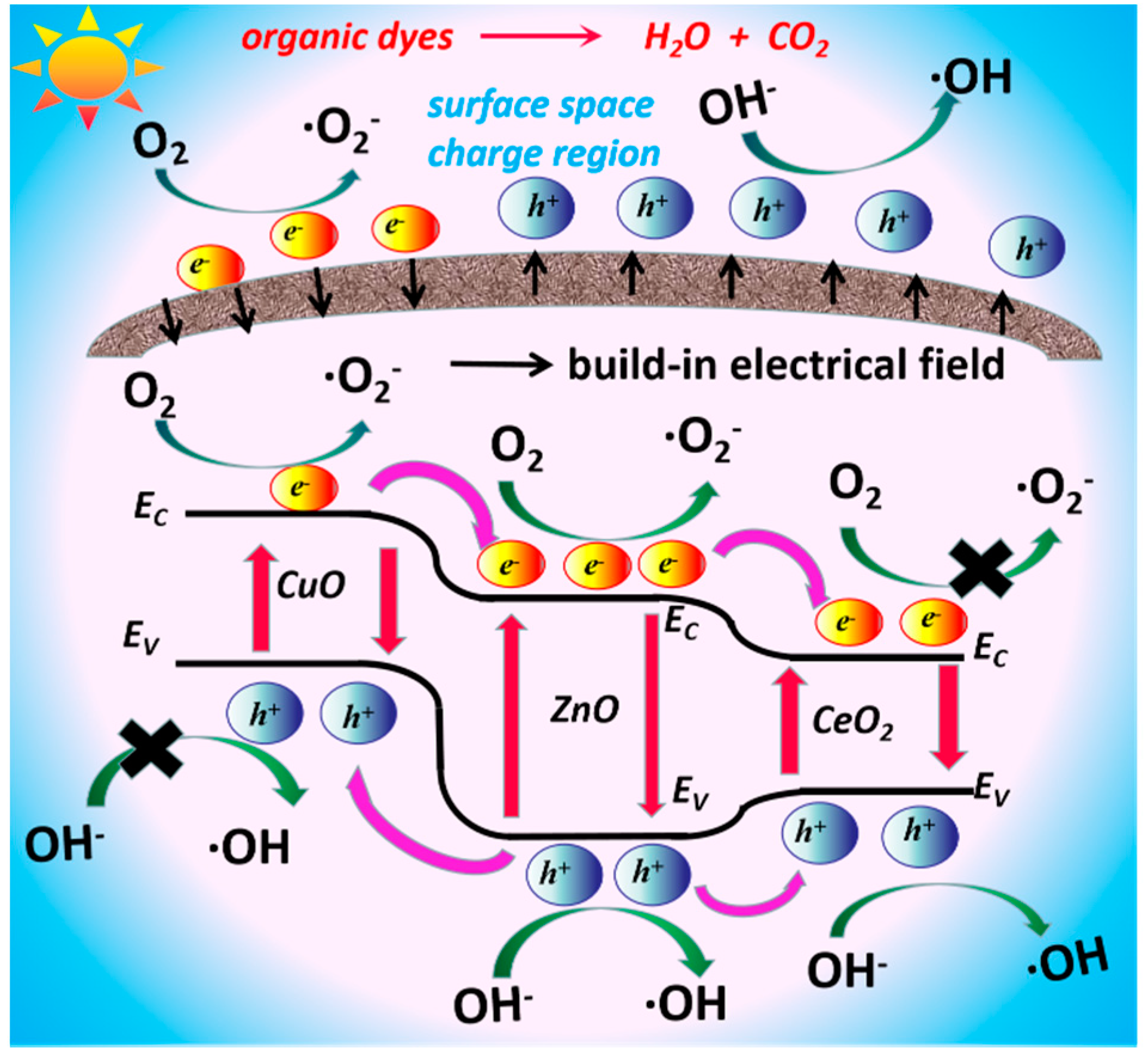 Nanomaterials 10 01946 g009 Nanomaterials 10 01946 g009