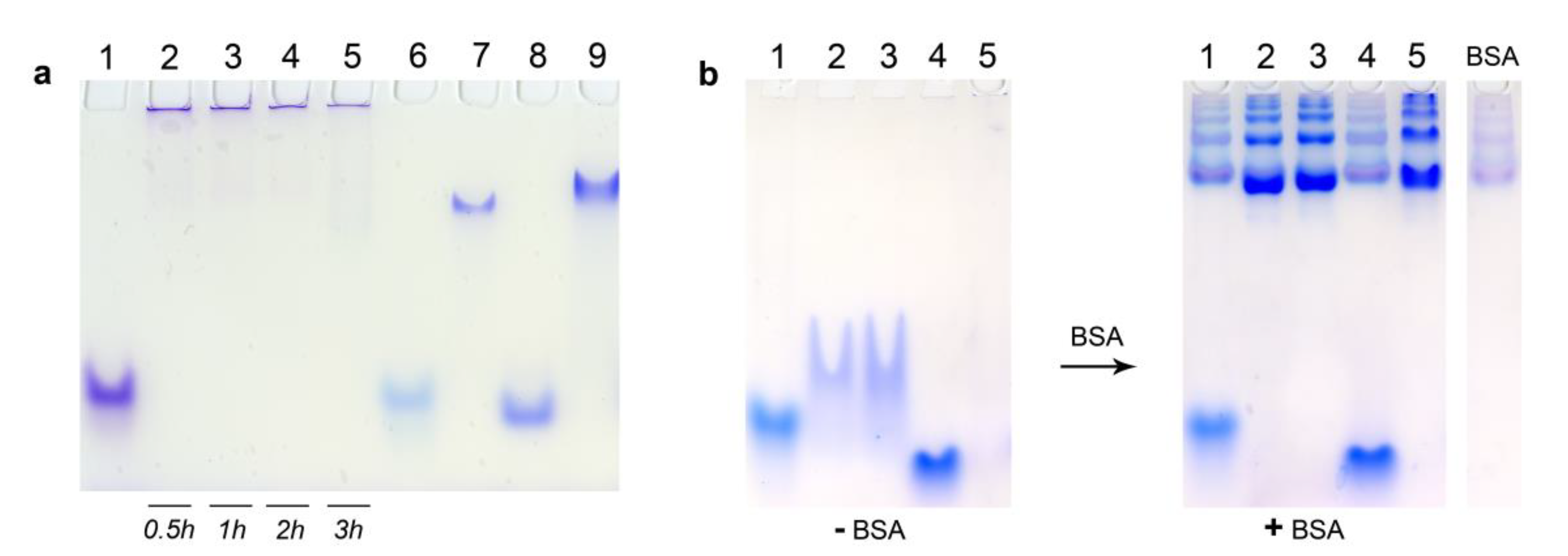 Nanomaterials 10 01948 g004