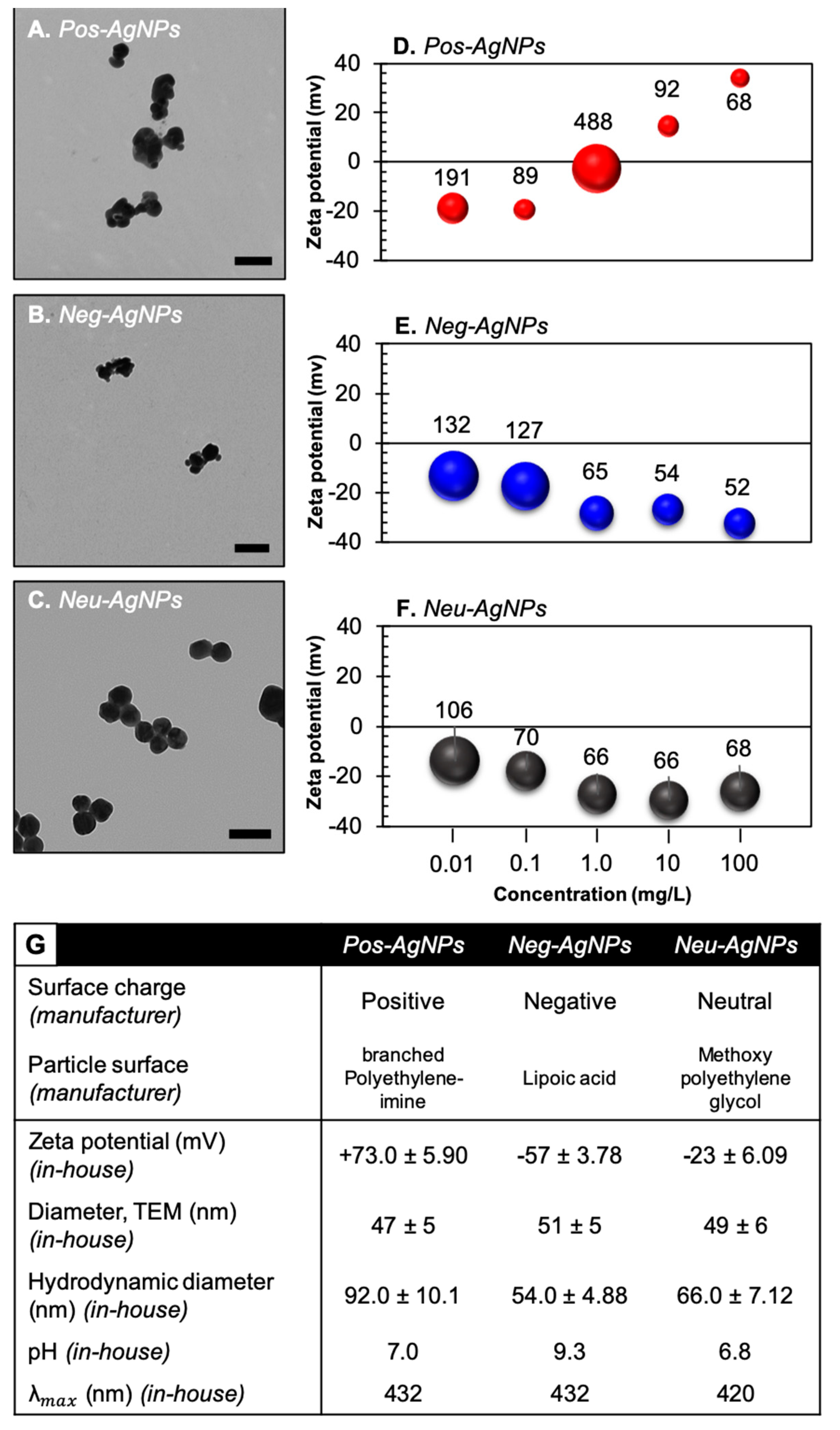Nanomaterials 10 01953 g002
