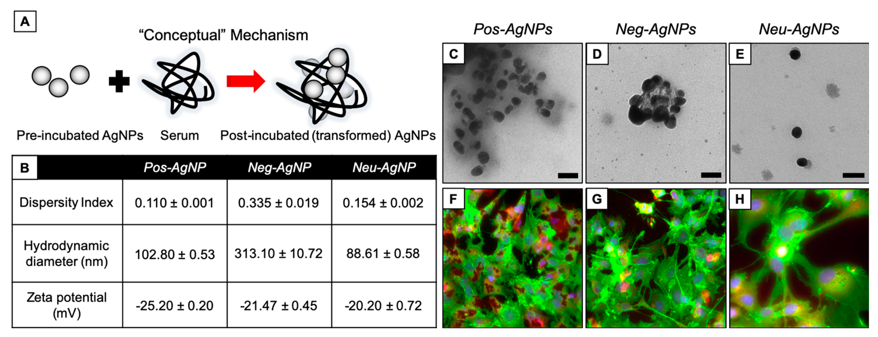 Nanomaterials 10 01953 g004