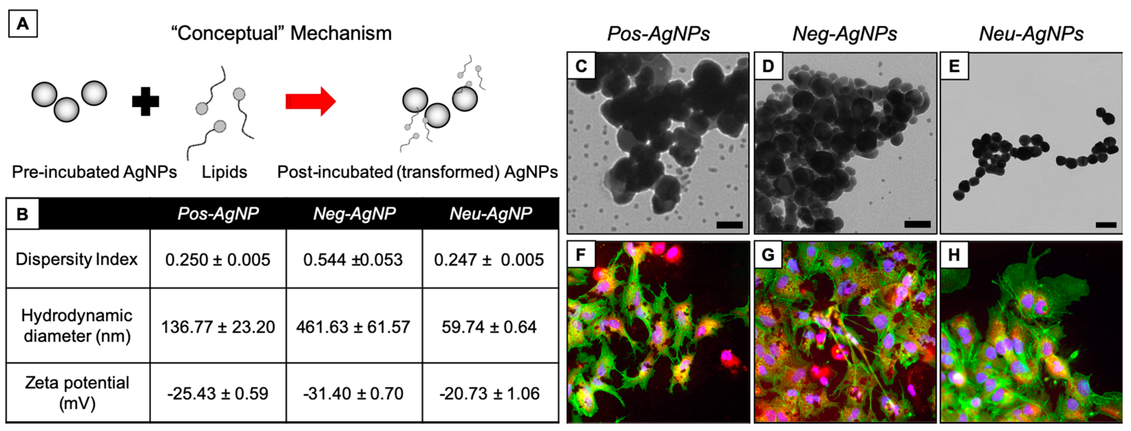 Nanomaterials 10 01953 g005