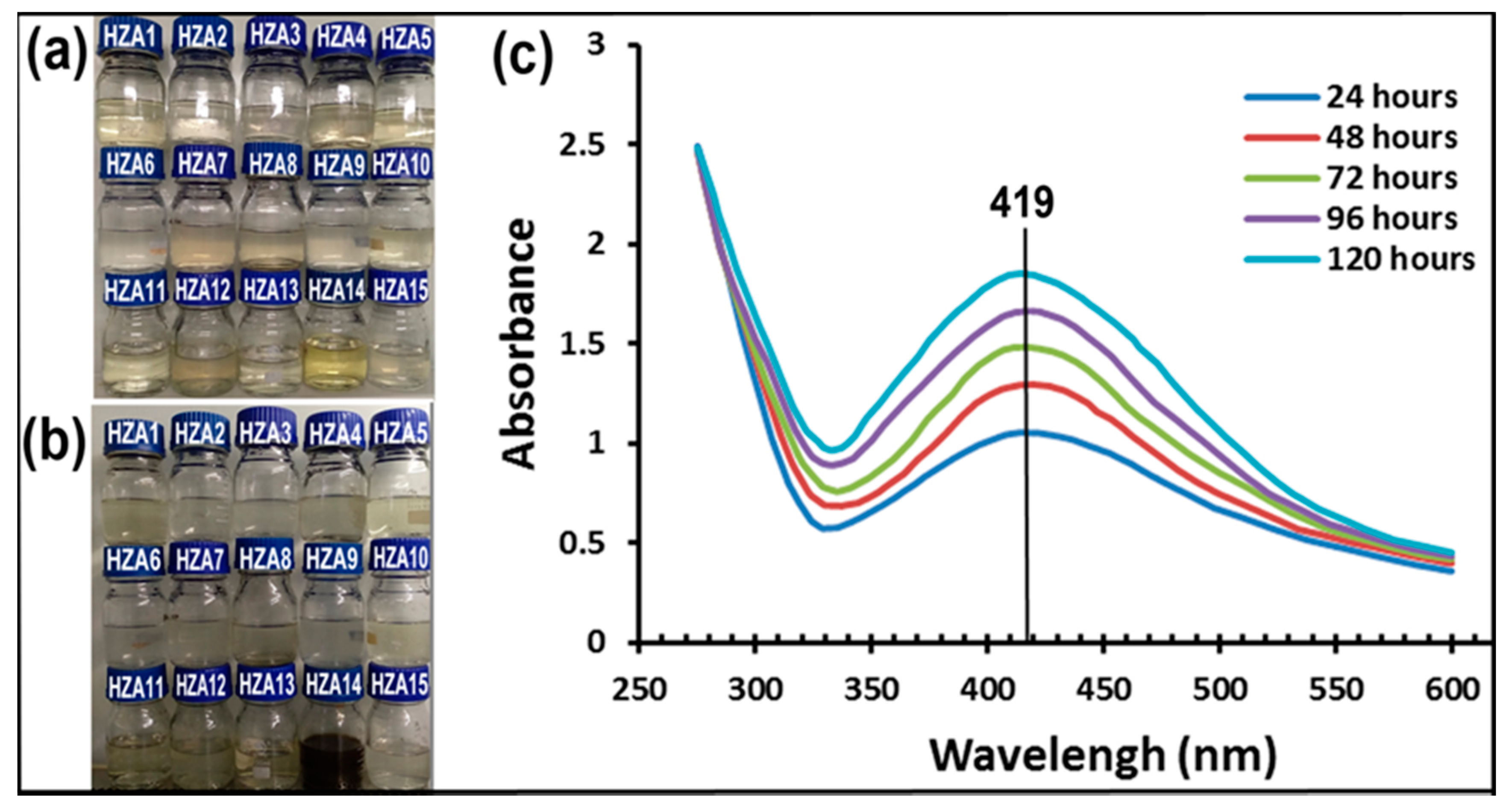 Nanomaterials 10 01955 g001