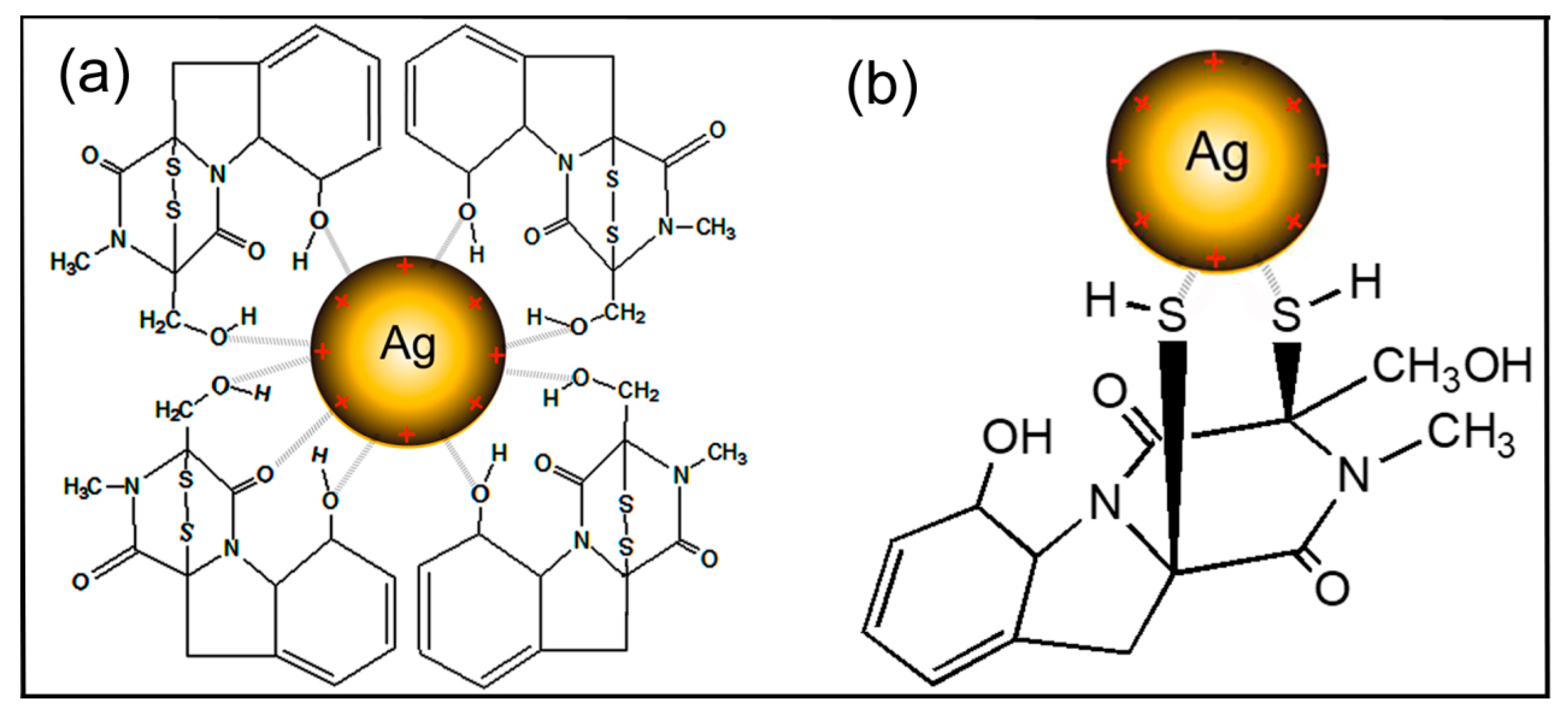 Nanomaterials 10 01955 g008