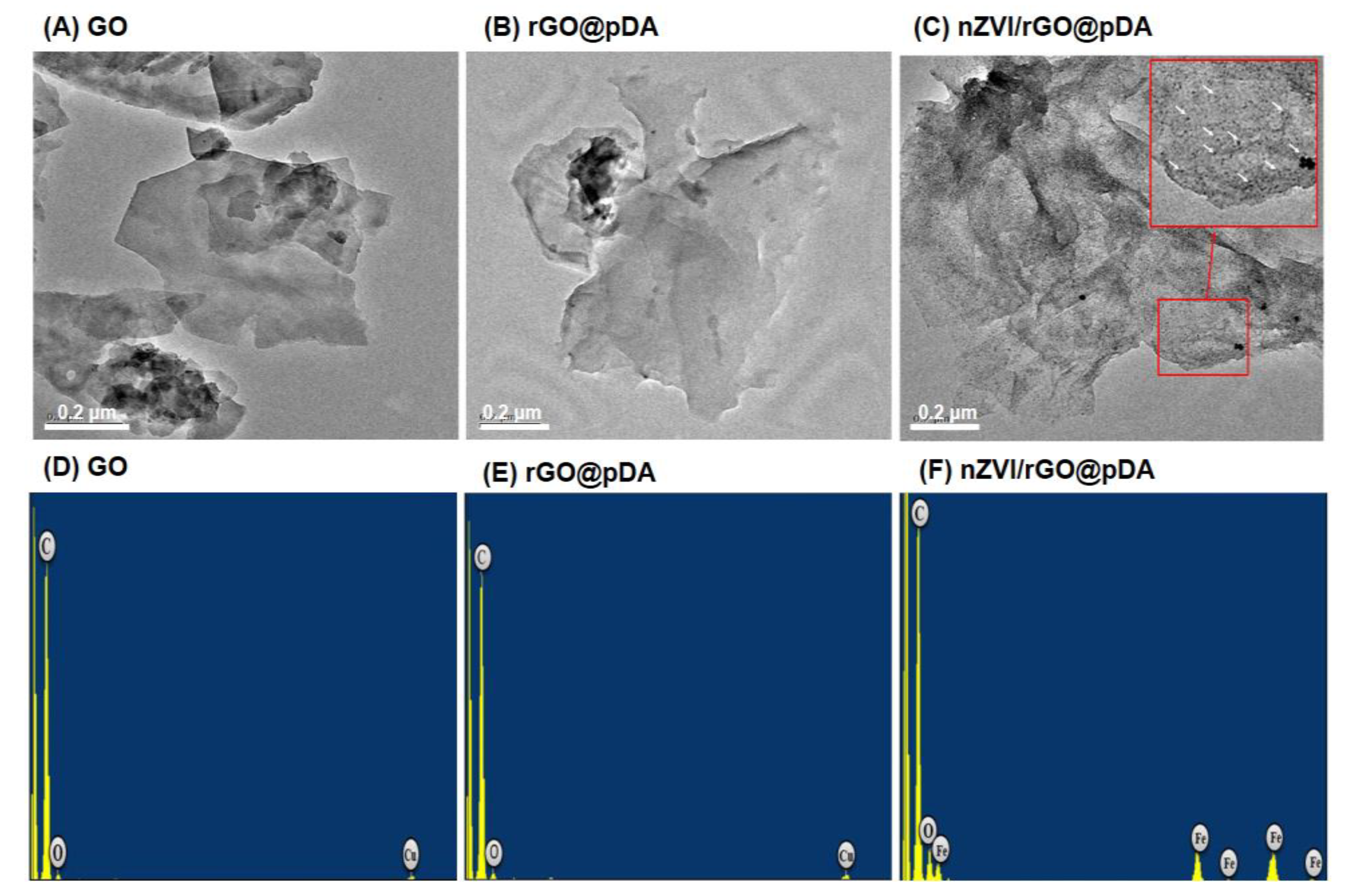 Nanomaterials 10 01957 g001
