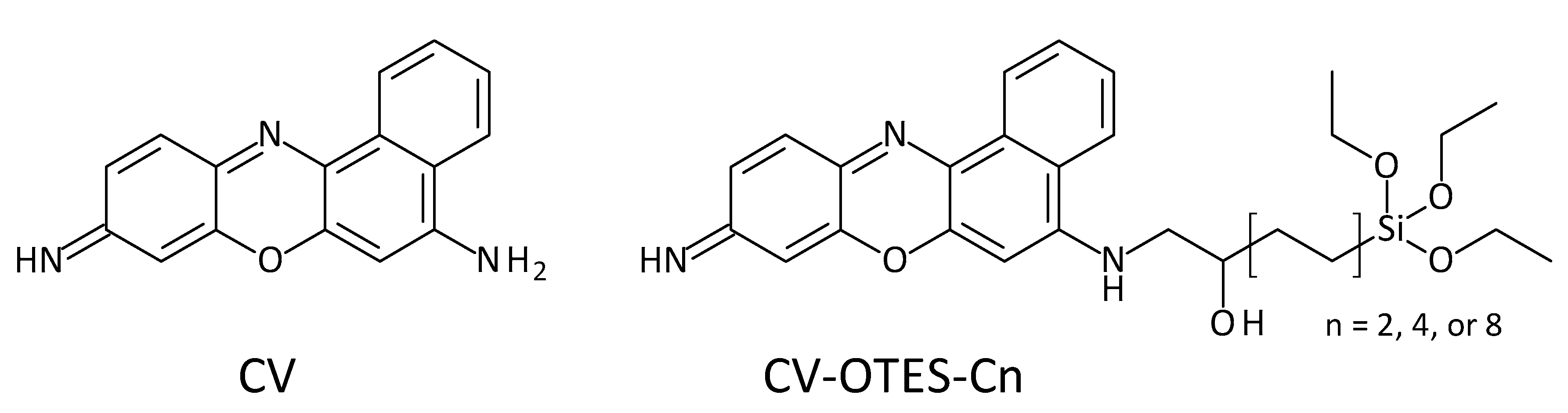 Nanomaterials 10 01958 g001
