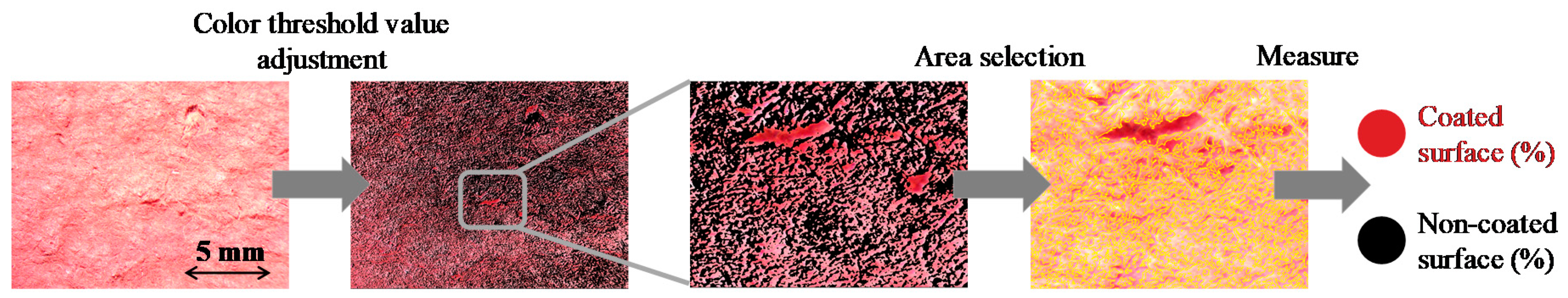 Nanomaterials 10 01959 g004