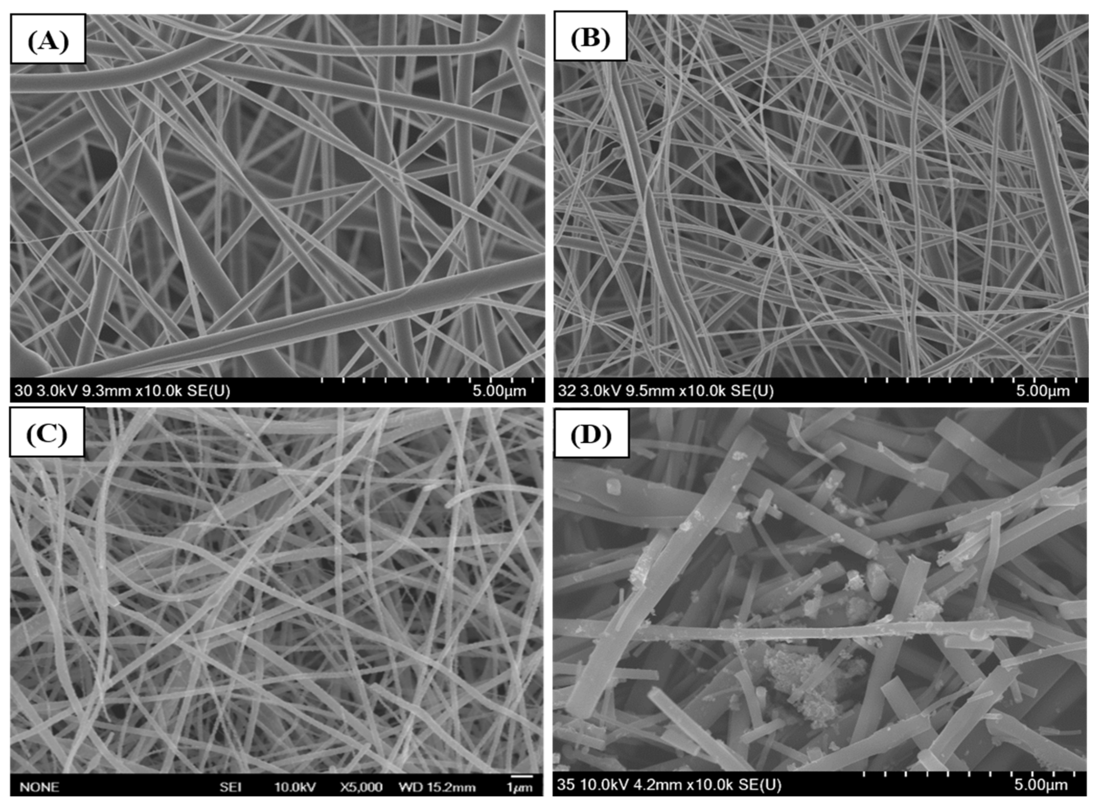 Electrospun CuO Nanofibers: Stable Nanostructures for Solar Water