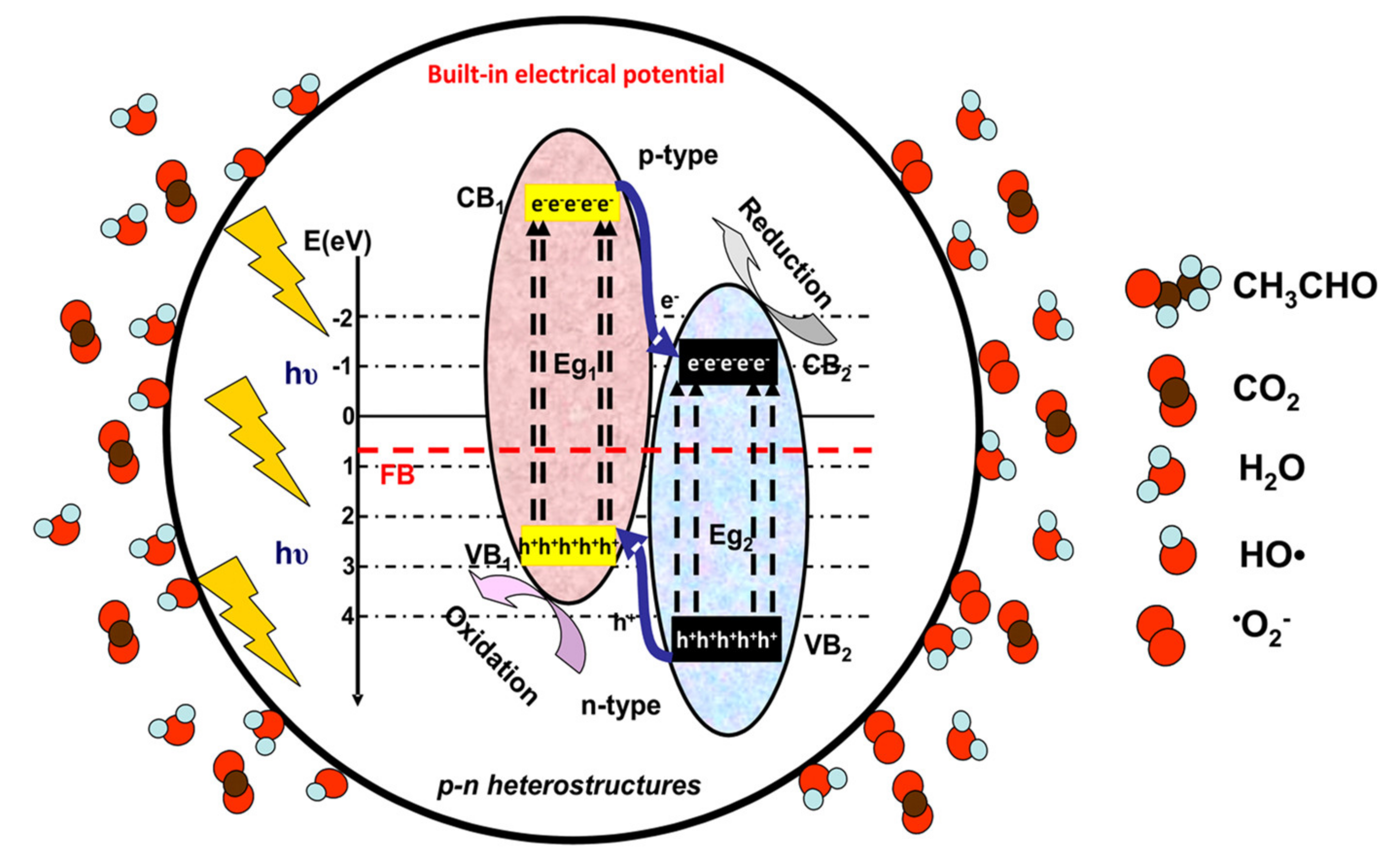 Nanomaterials 10 01965 g003