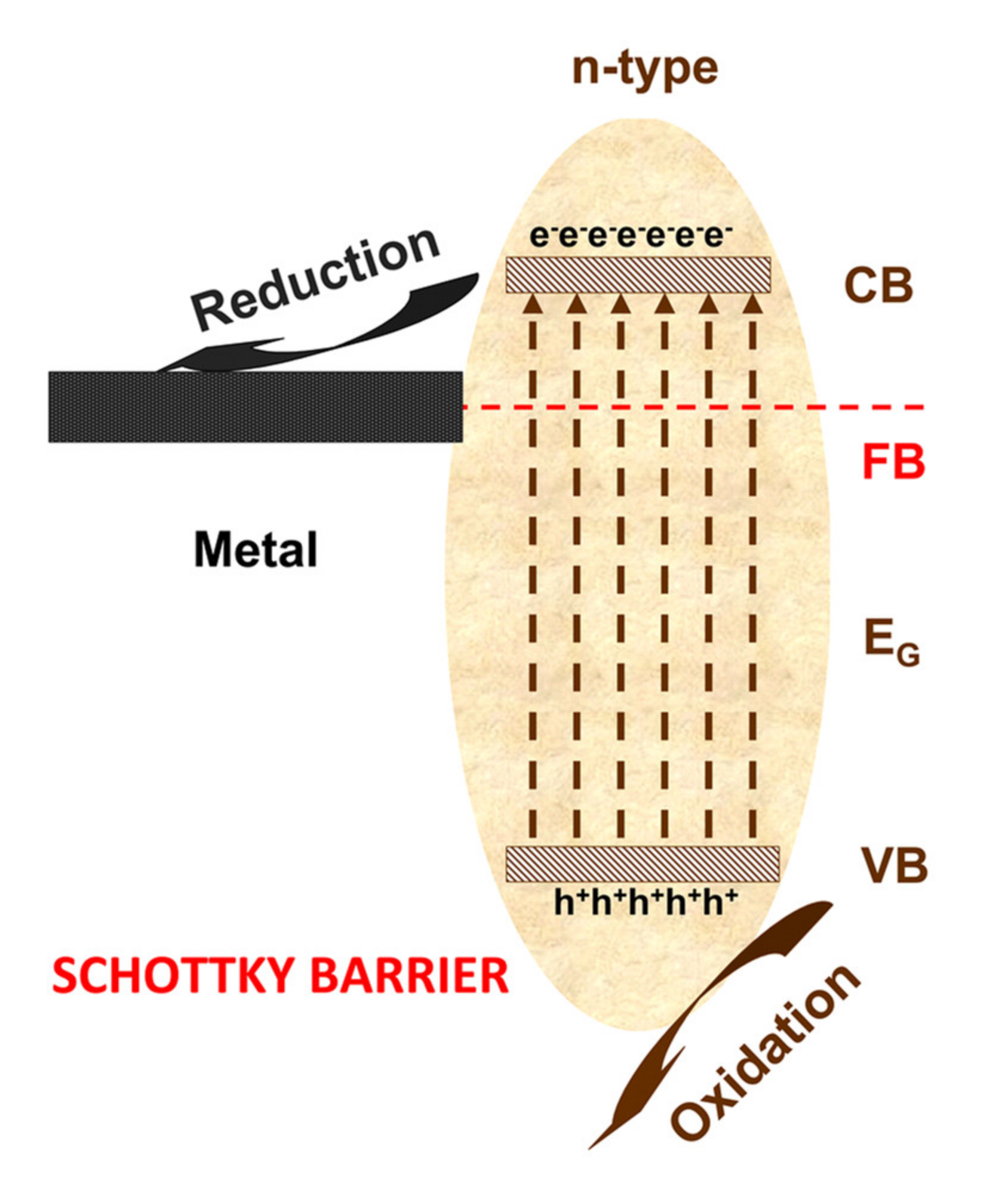 Nanomaterials 10 01965 g004