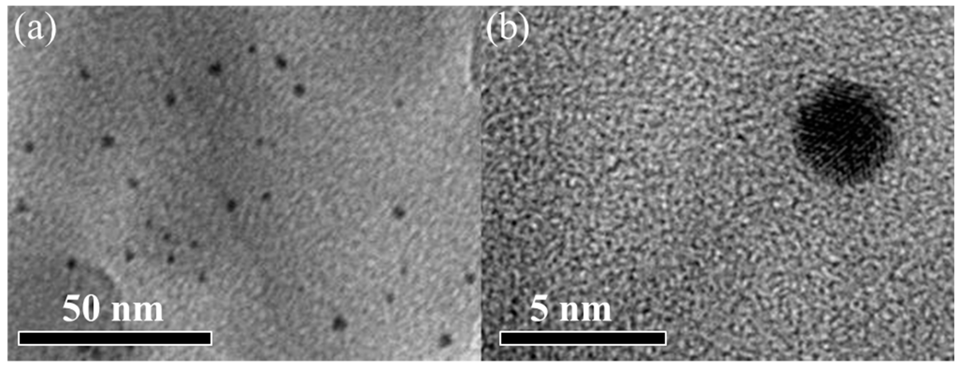 Nanomaterials 10 01969 g002