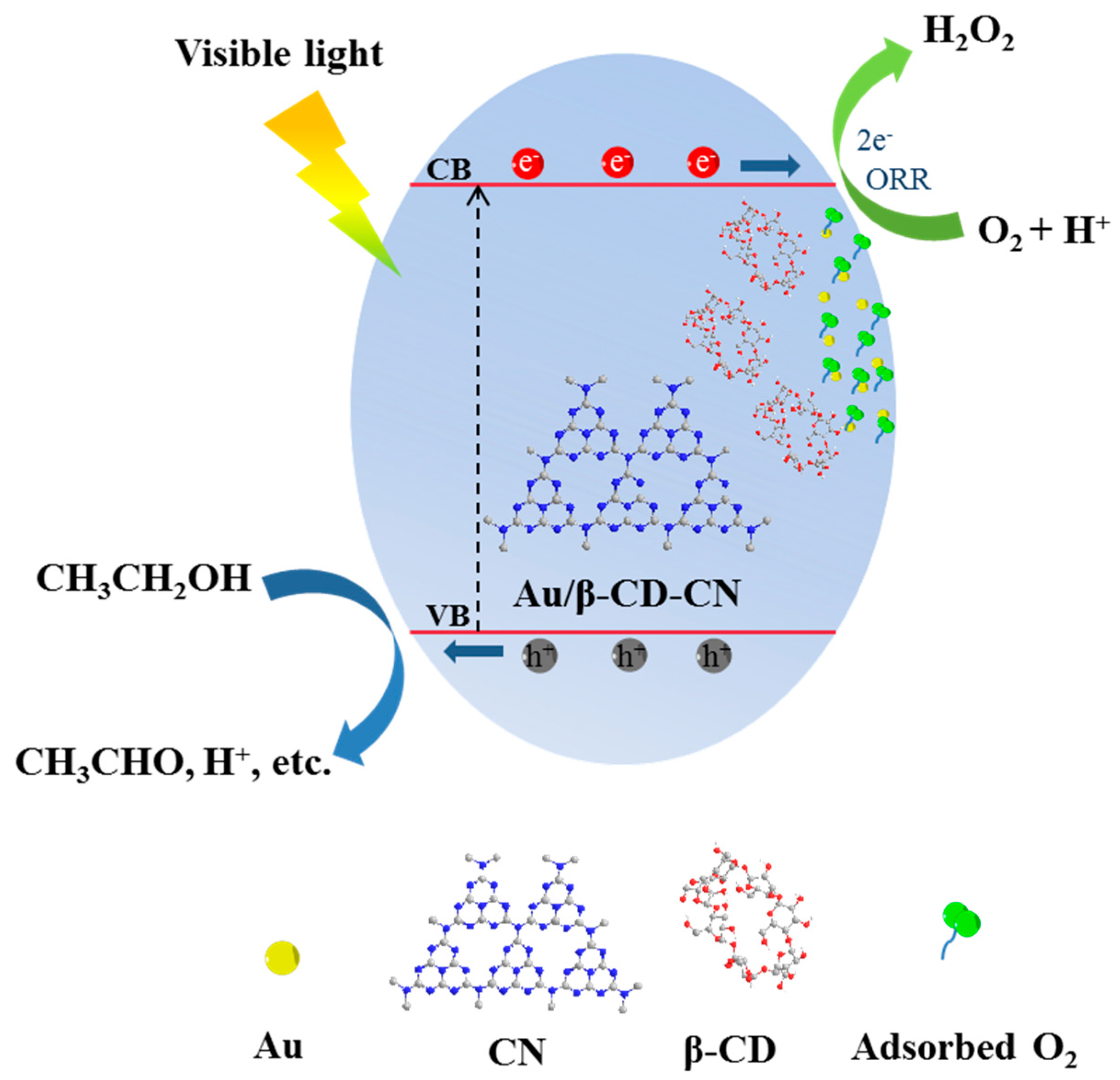 Nanomaterials 10 01969 g009