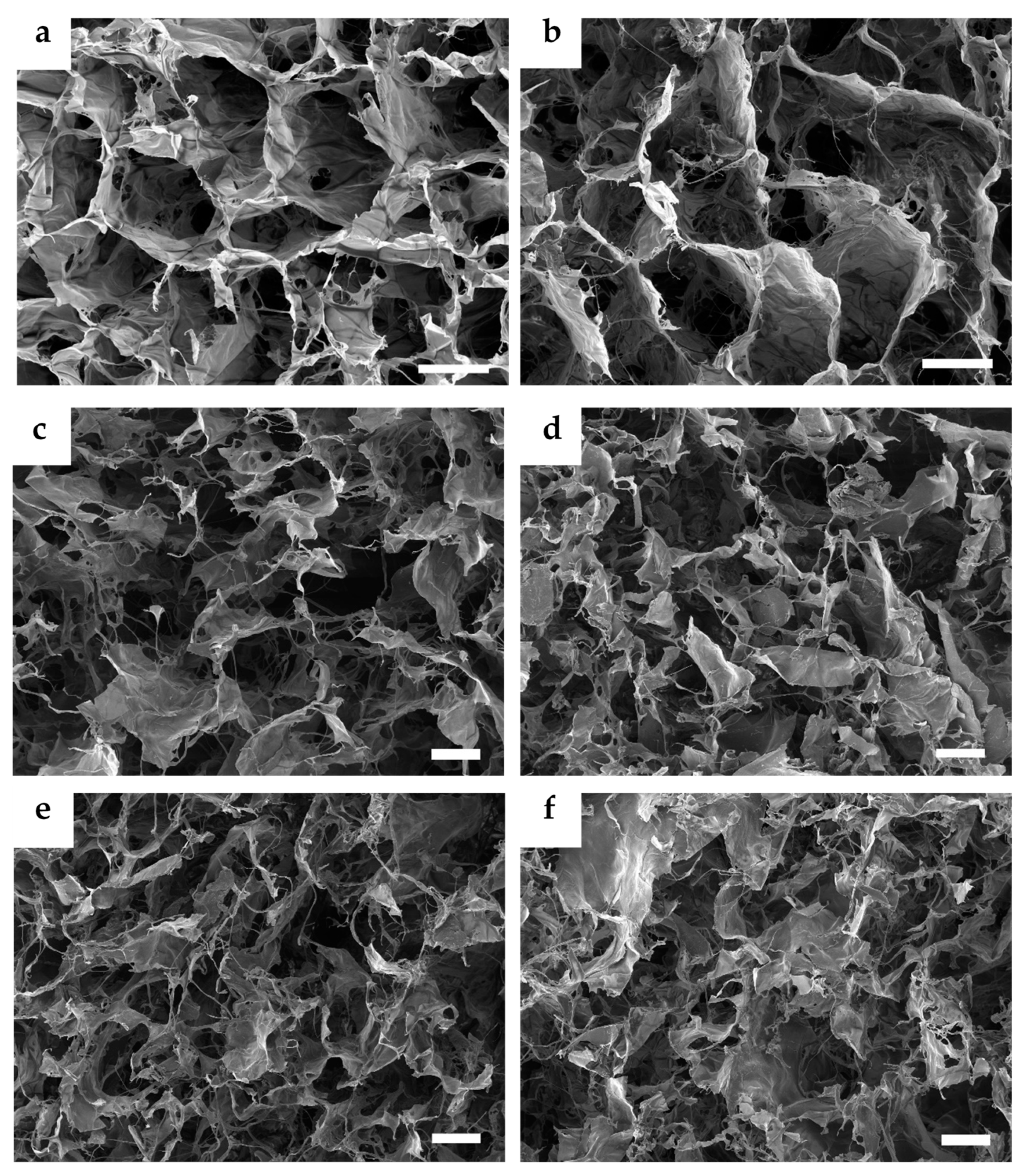 Nanomaterials 10 01971 g001