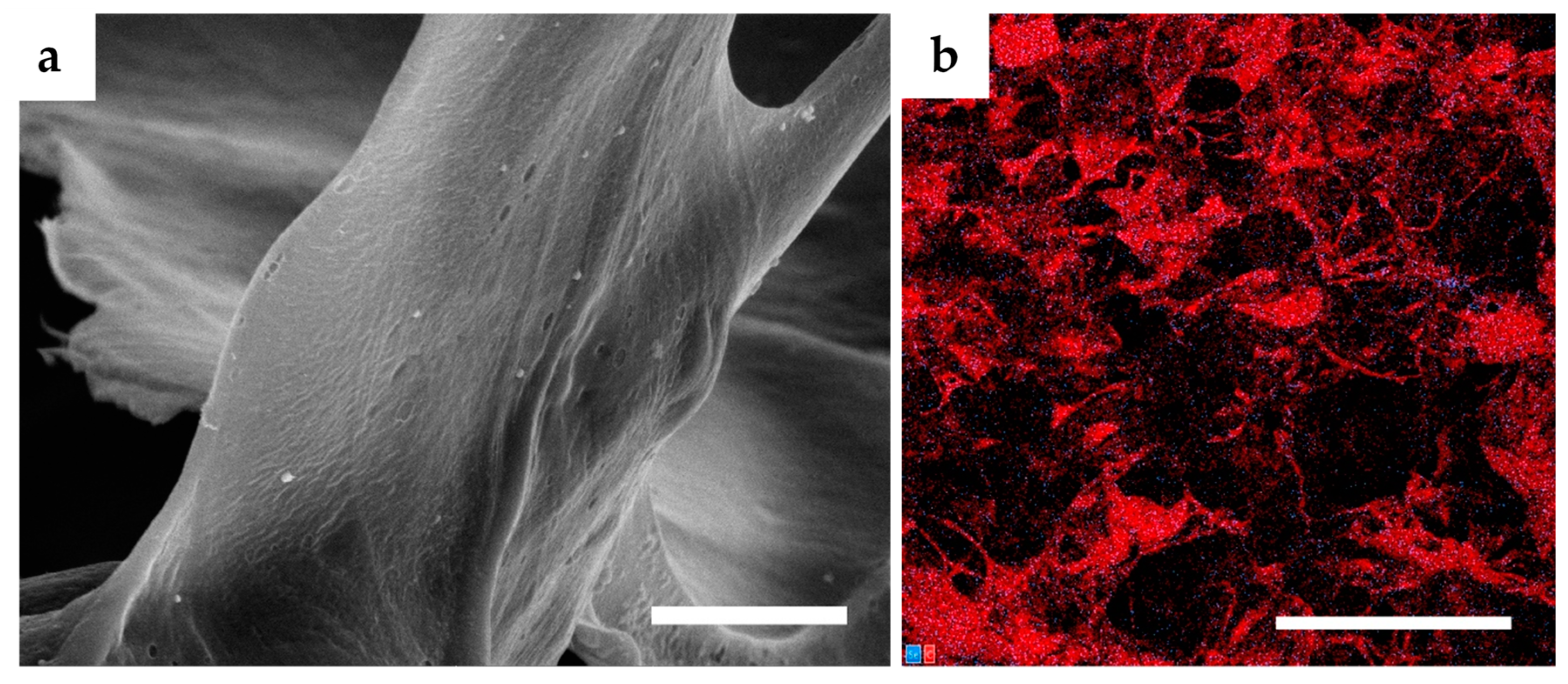 Nanomaterials 10 01971 g002