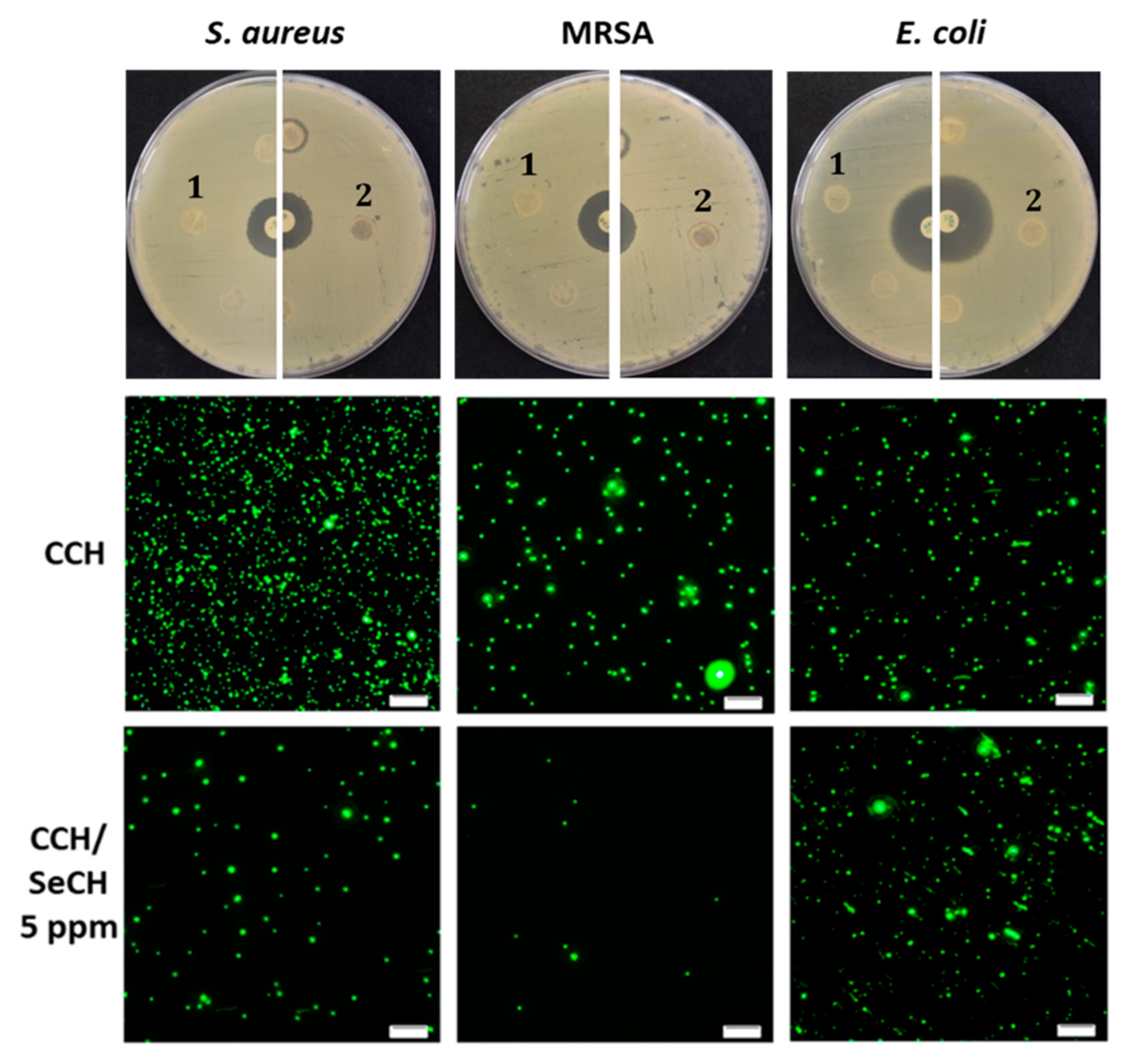 Nanomaterials 10 01971 g009