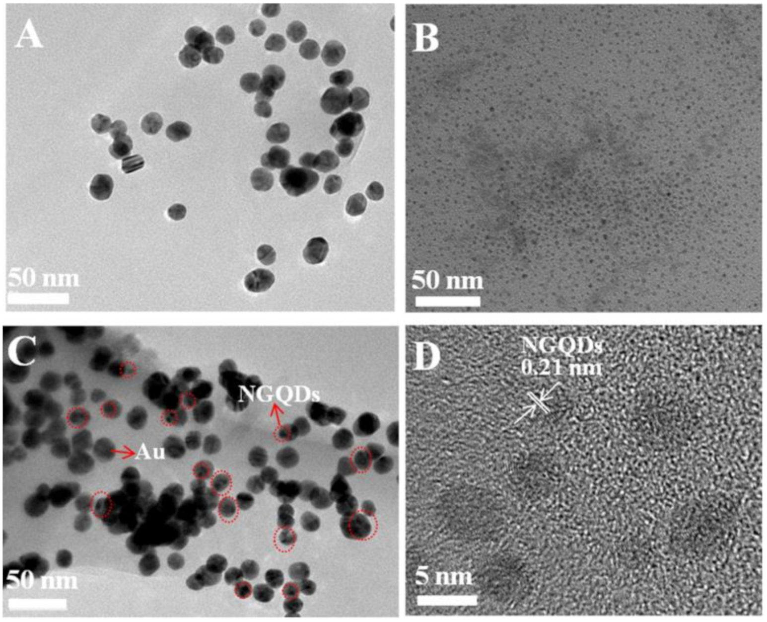 Nanomaterials 10 01972 g001