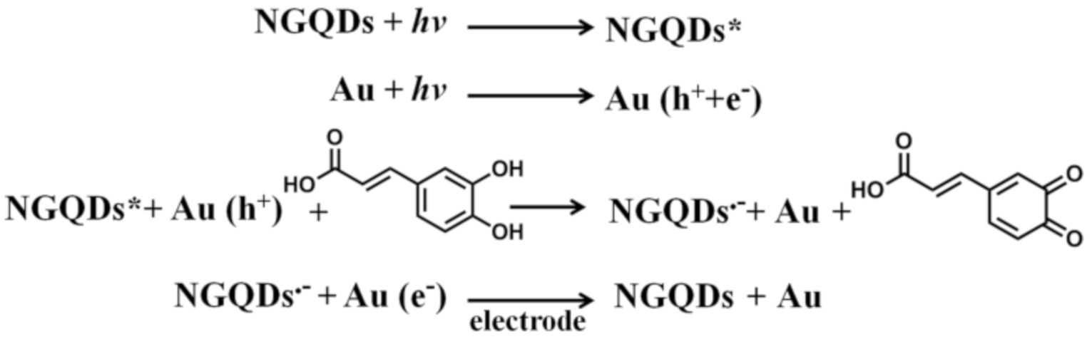 Nanomaterials 10 01972 sch002