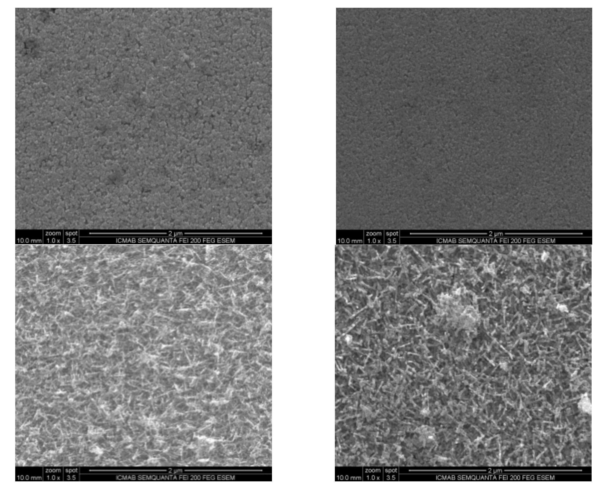 Nanomaterials 10 01974 g004