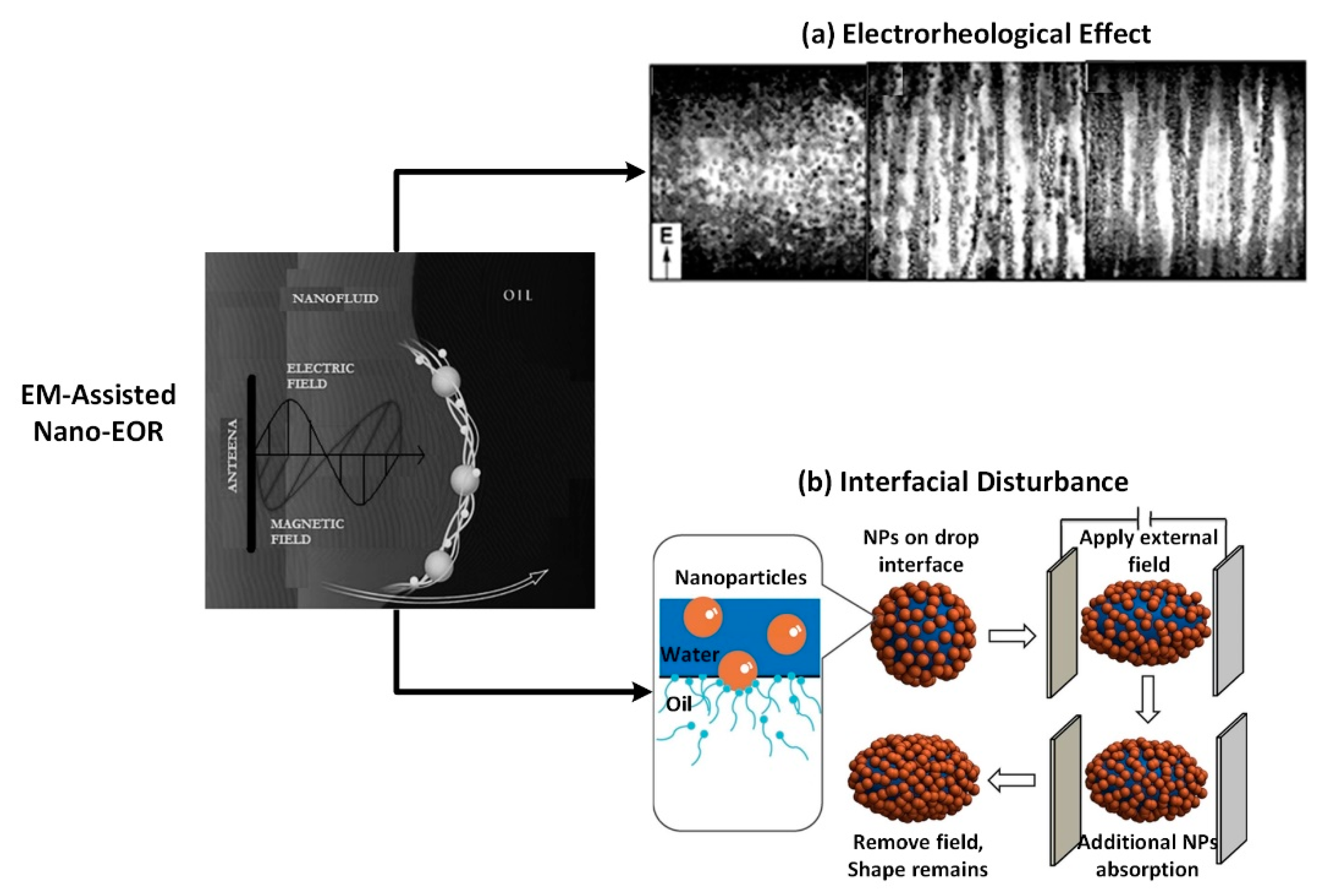 Nanomaterials 10 01975 g001