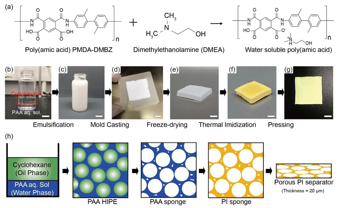Nanomaterials 10 01976 g001