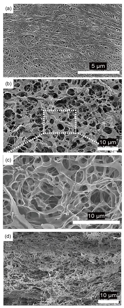 Nanomaterials 10 01976 g002