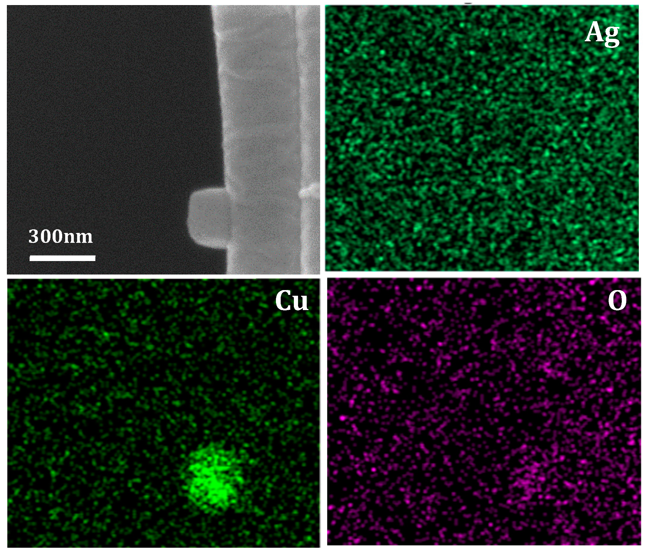 Nanomaterials 10 01982 g004 Nanomaterials 10 01982 g004