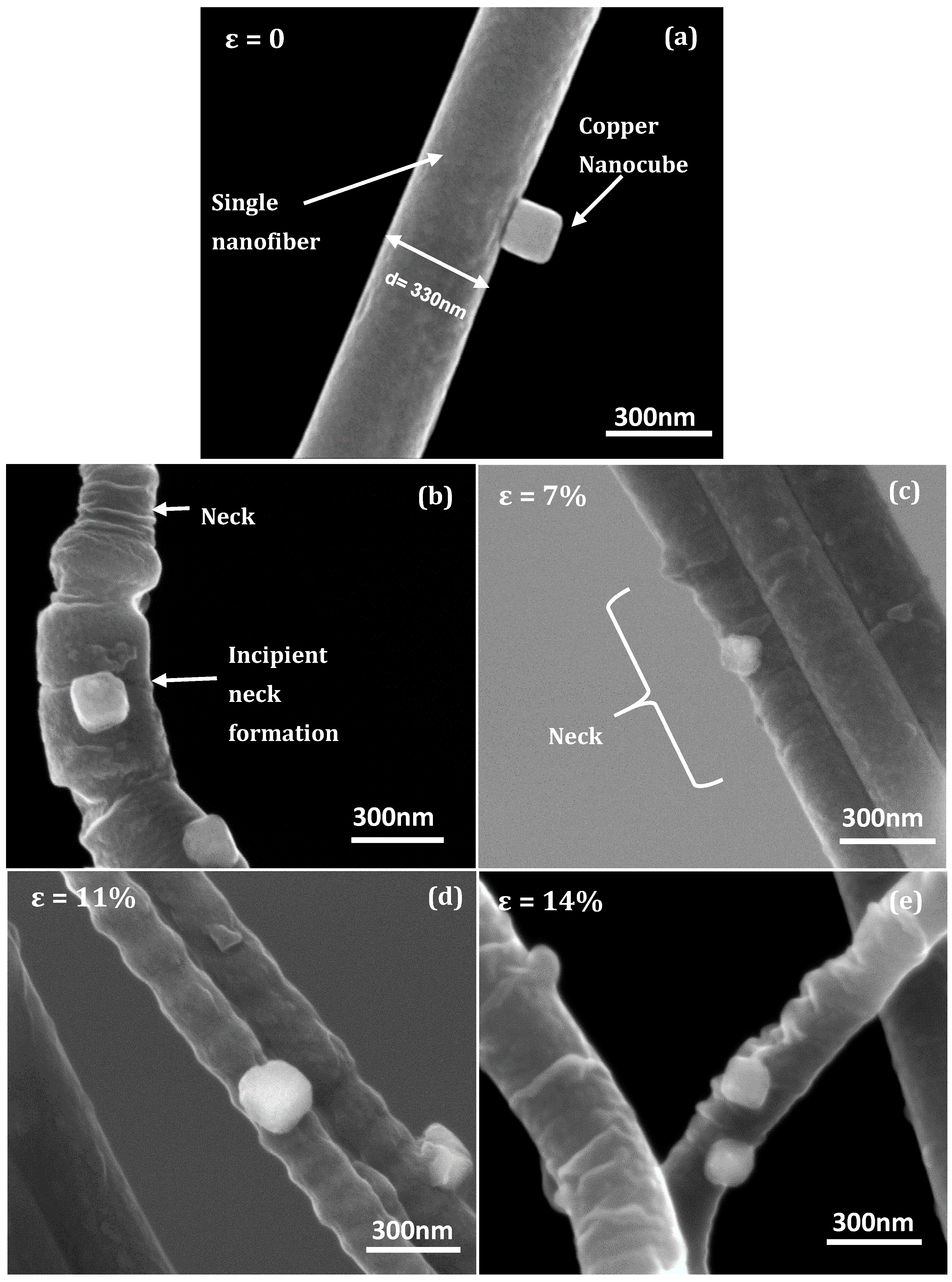 Nanomaterials 10 01982 g005 Nanomaterials 10 01982 g005