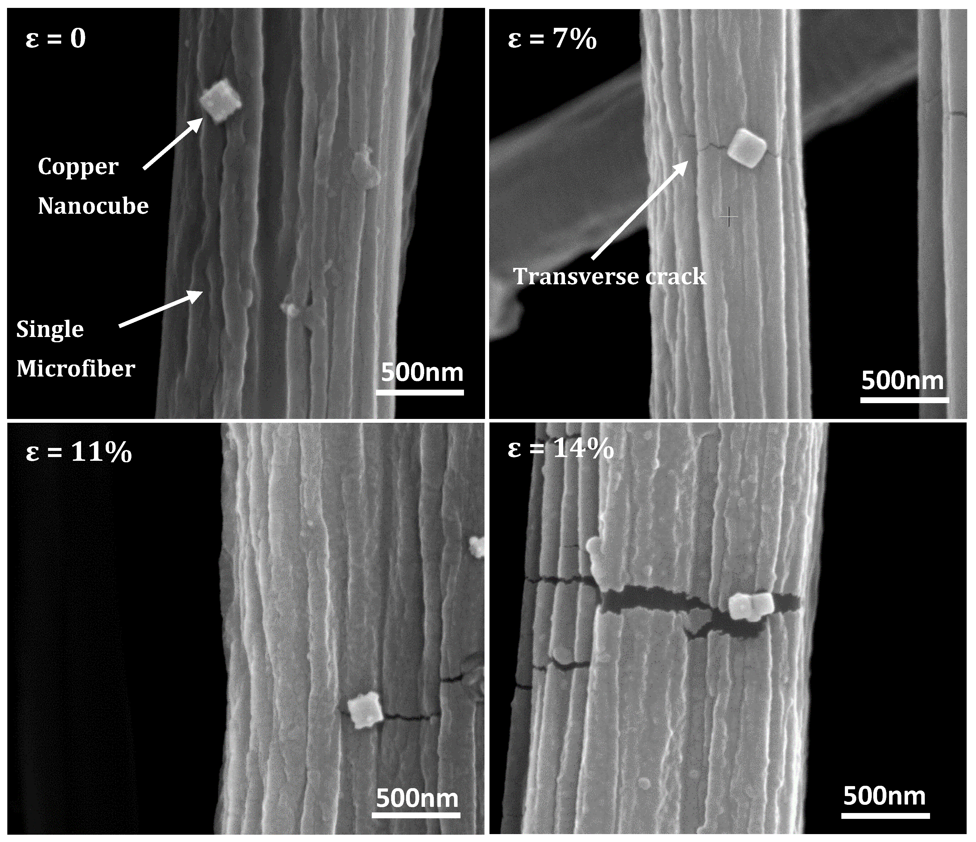 Nanomaterials 10 01982 g006 Nanomaterials 10 01982 g006