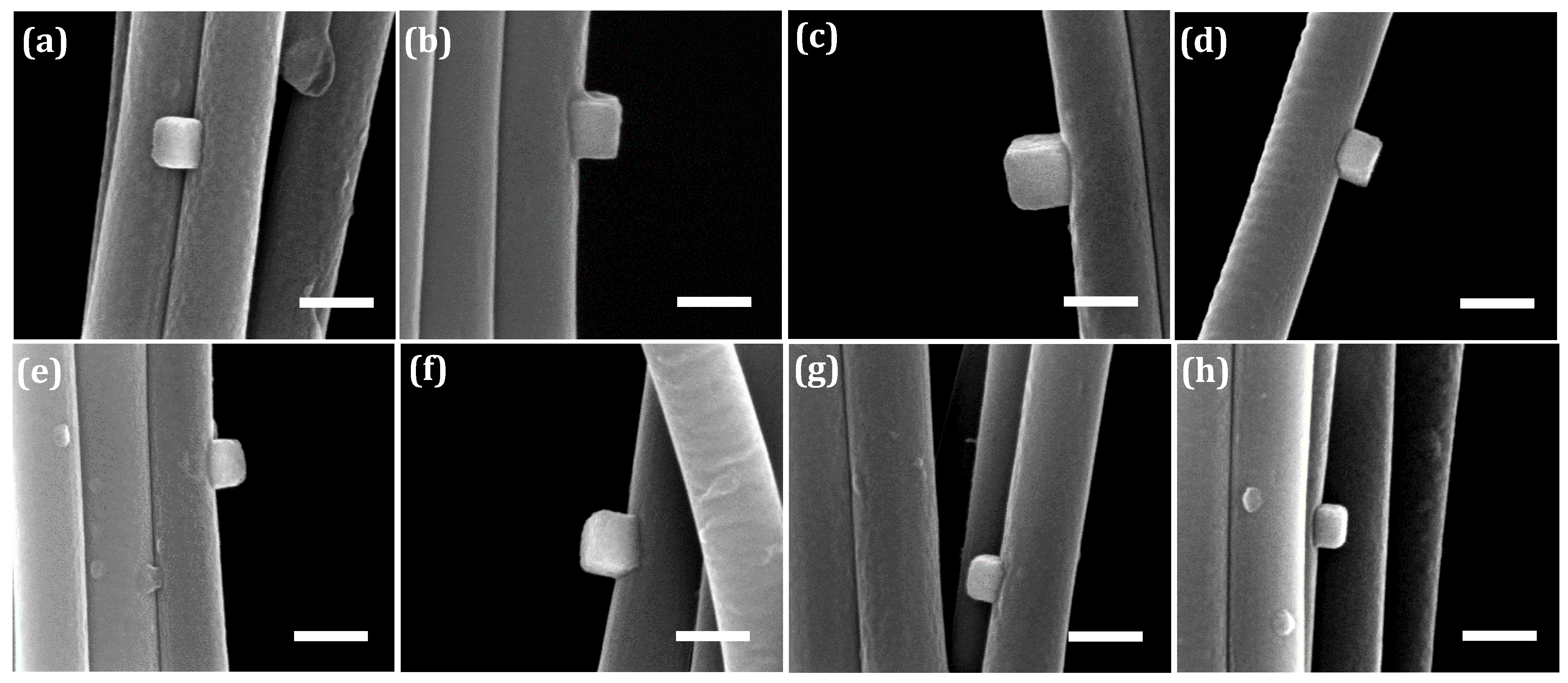 Nanomaterials 10 01982 g011 Nanomaterials 10 01982 g011