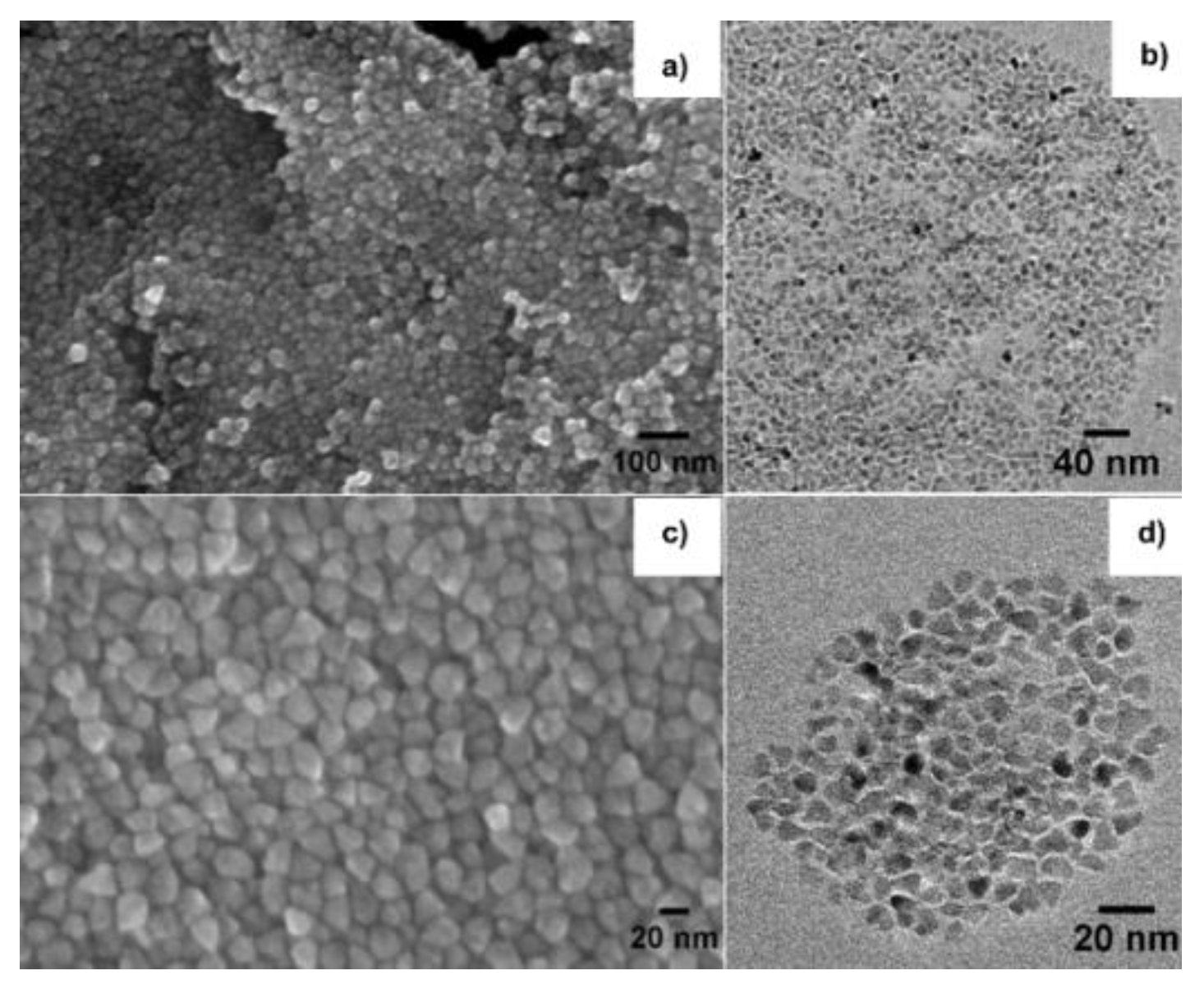 Nanomaterials 10 01983 g002