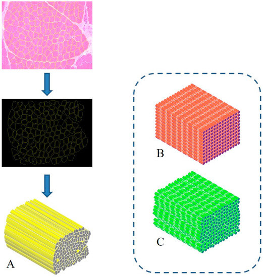 Nanomaterials 10 01986 g001 550