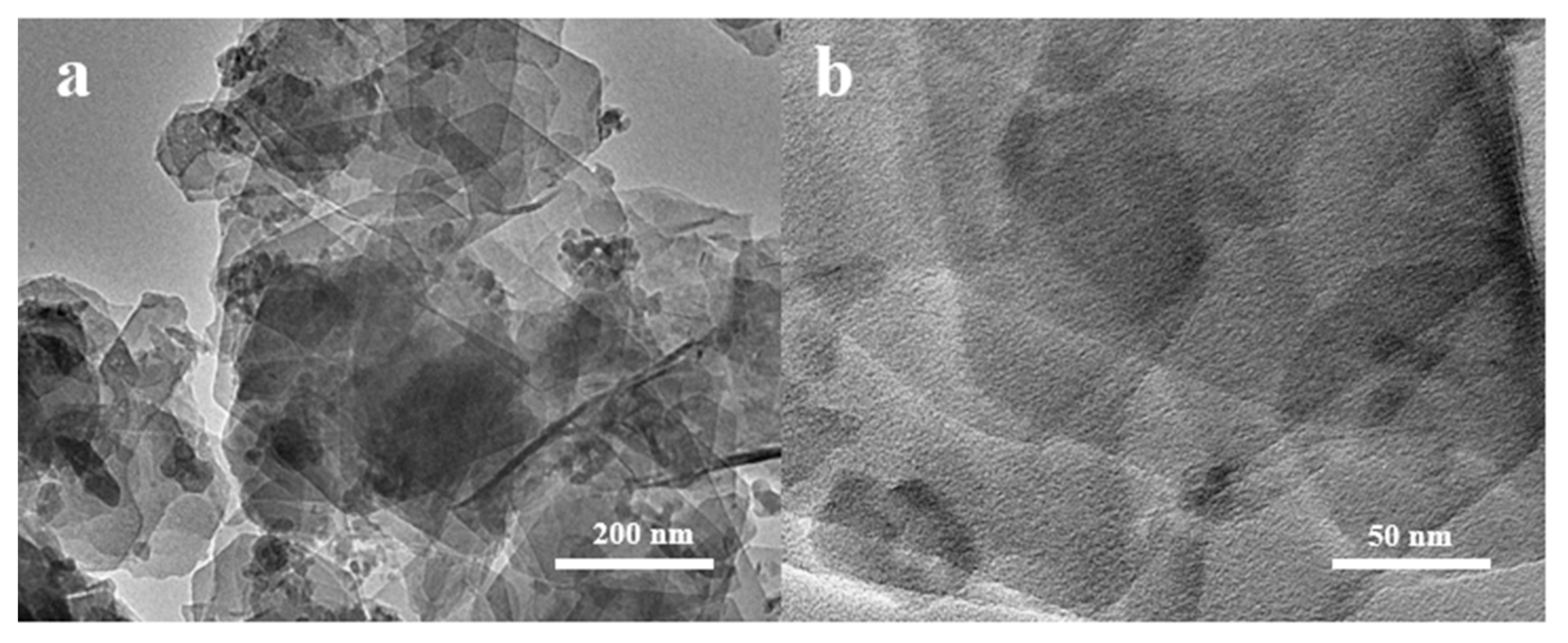 Nanomaterials 10 01991 g006