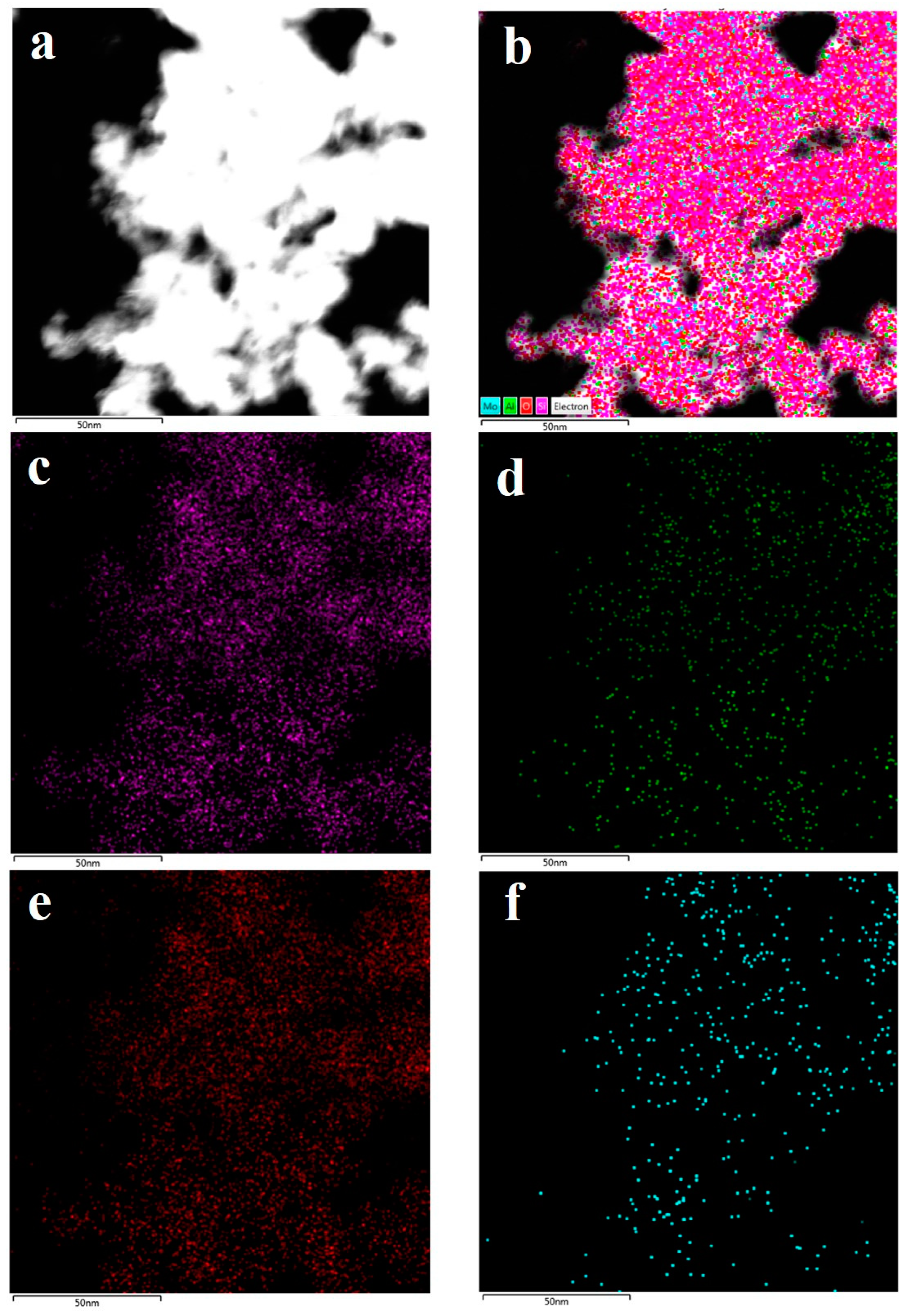 Nanomaterials 10 01991 g008