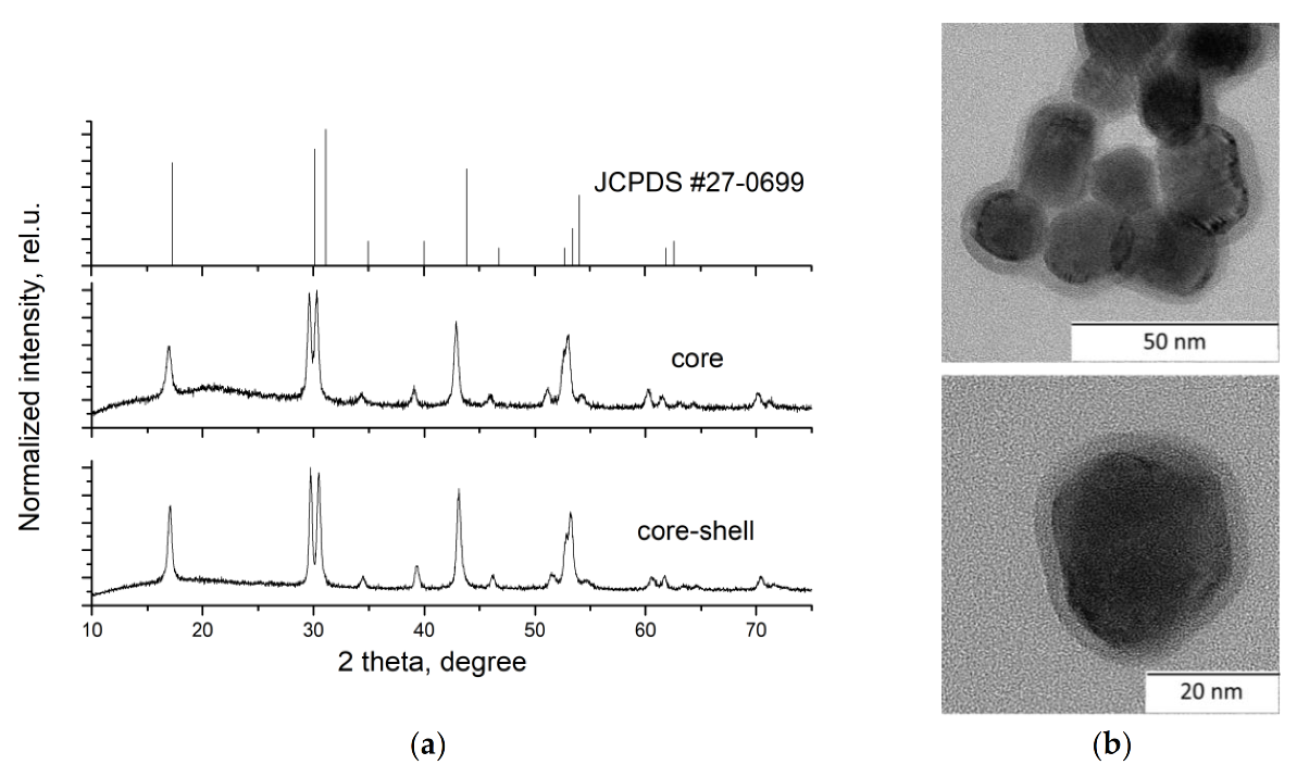 Nanomaterials 10 01992 g001