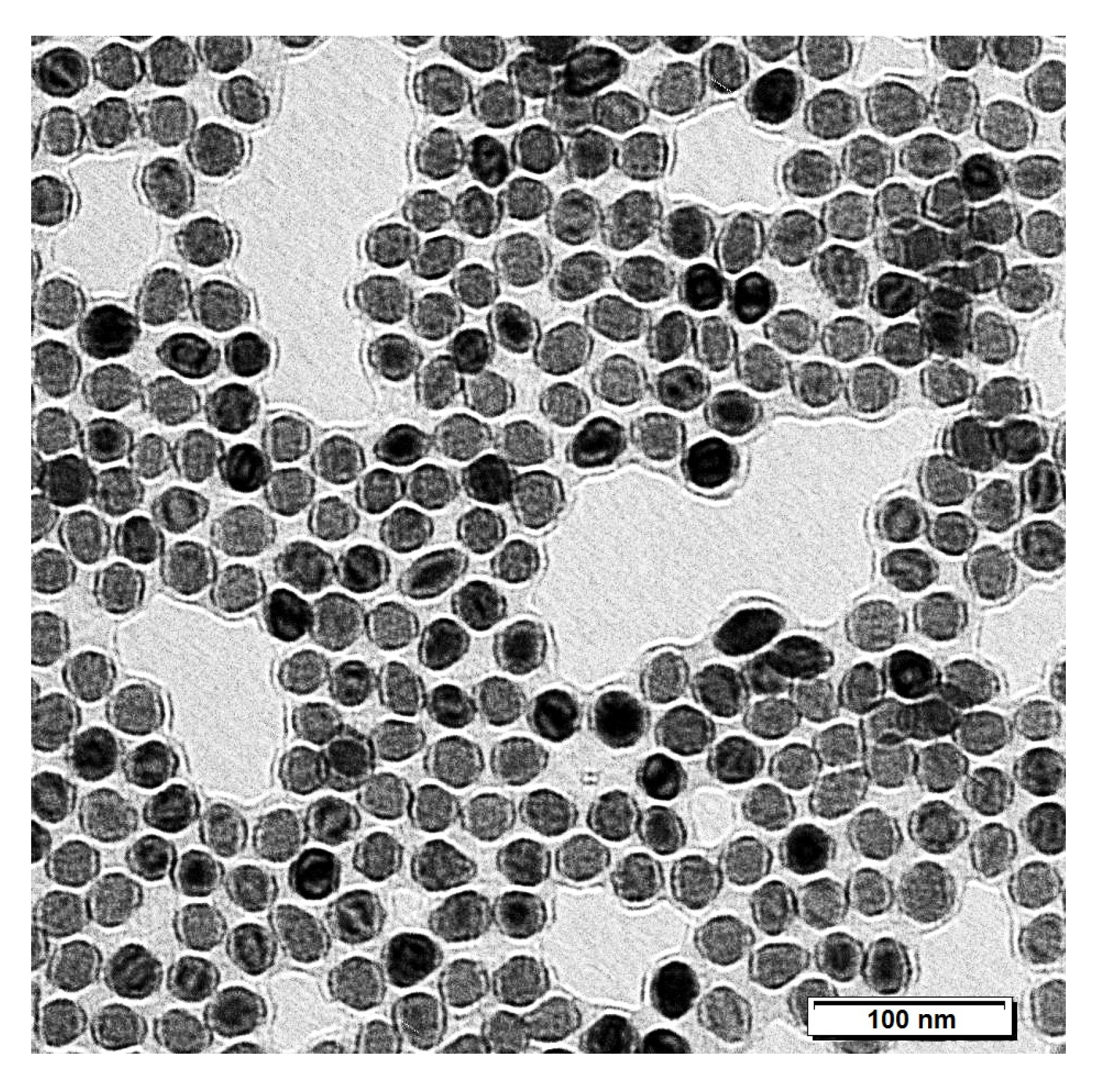 Nanomaterials 10 01993 g001 550