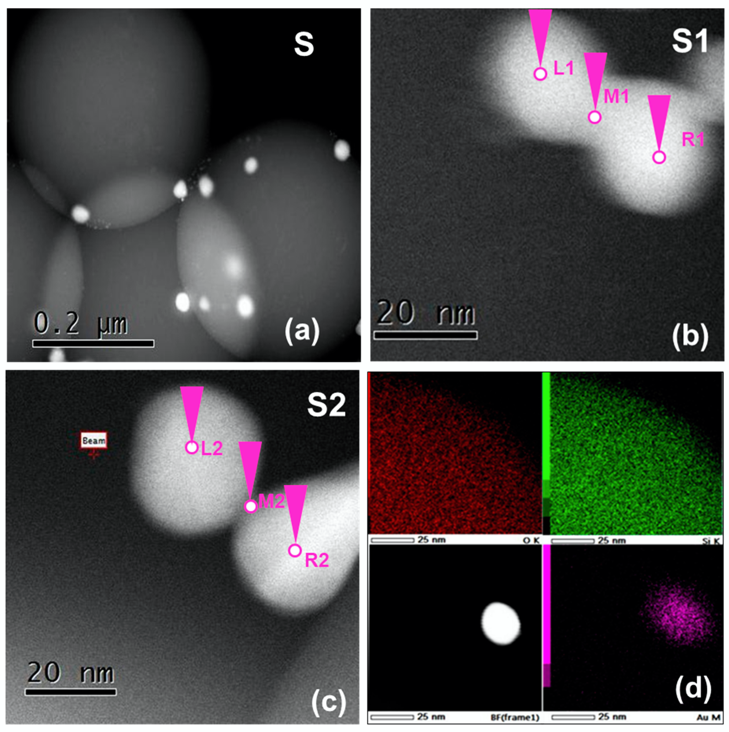Nanomaterials 10 01996 g001 Nanomaterials 10 01996 g001