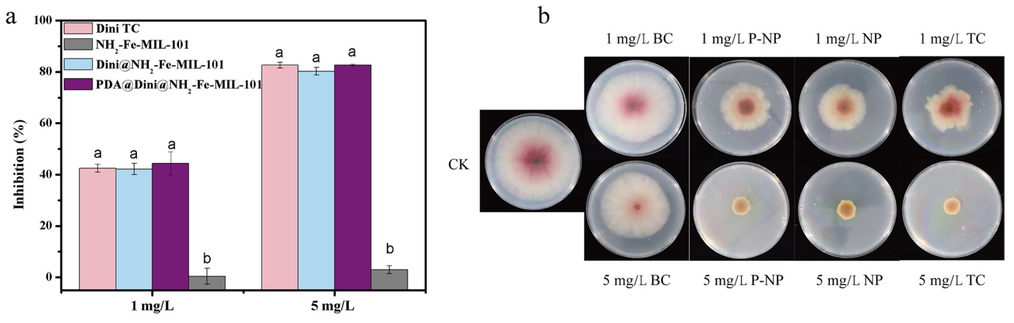 Nanomaterials 10 02000 g008