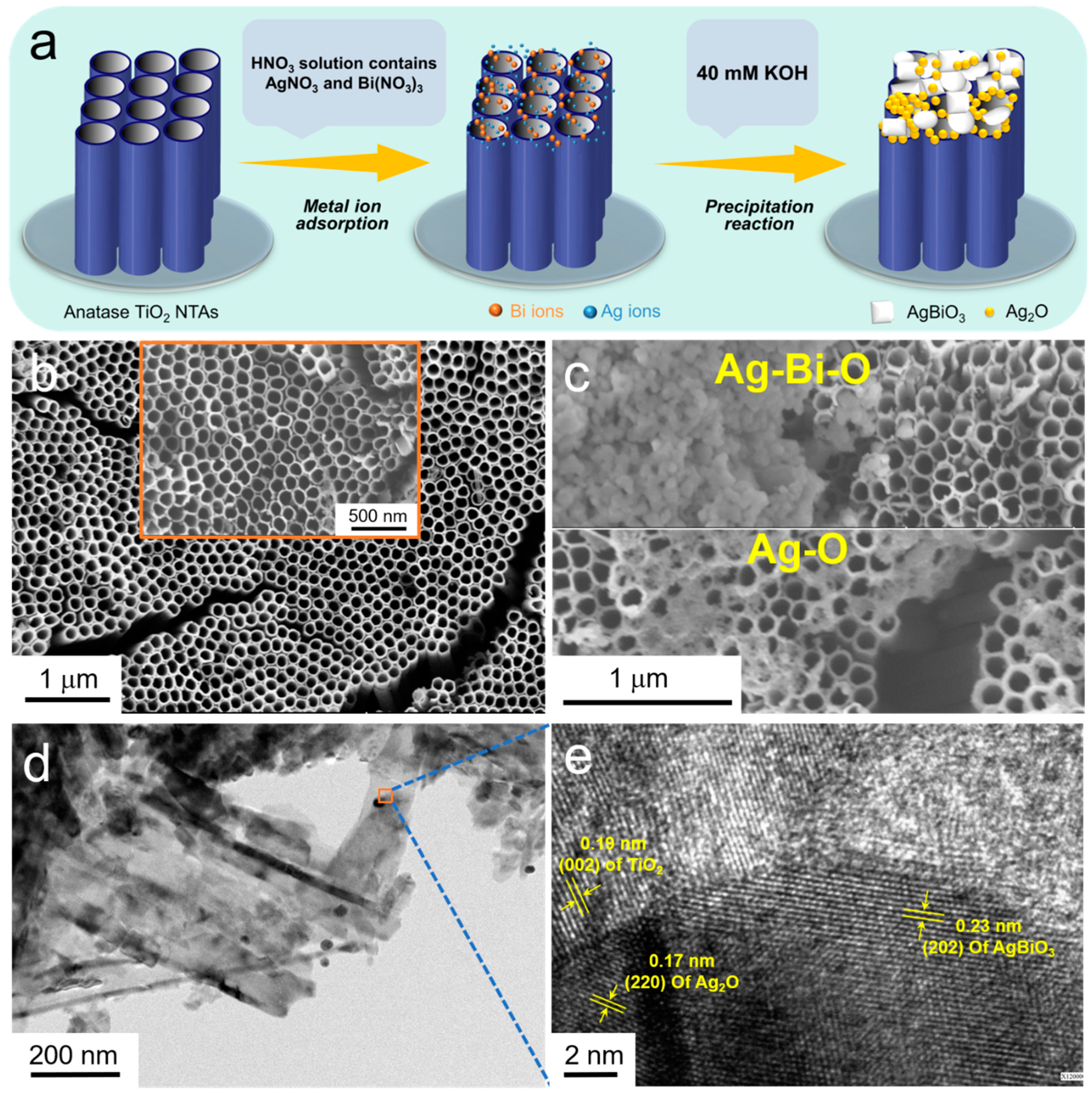 Nanomaterials 10 02002 g001