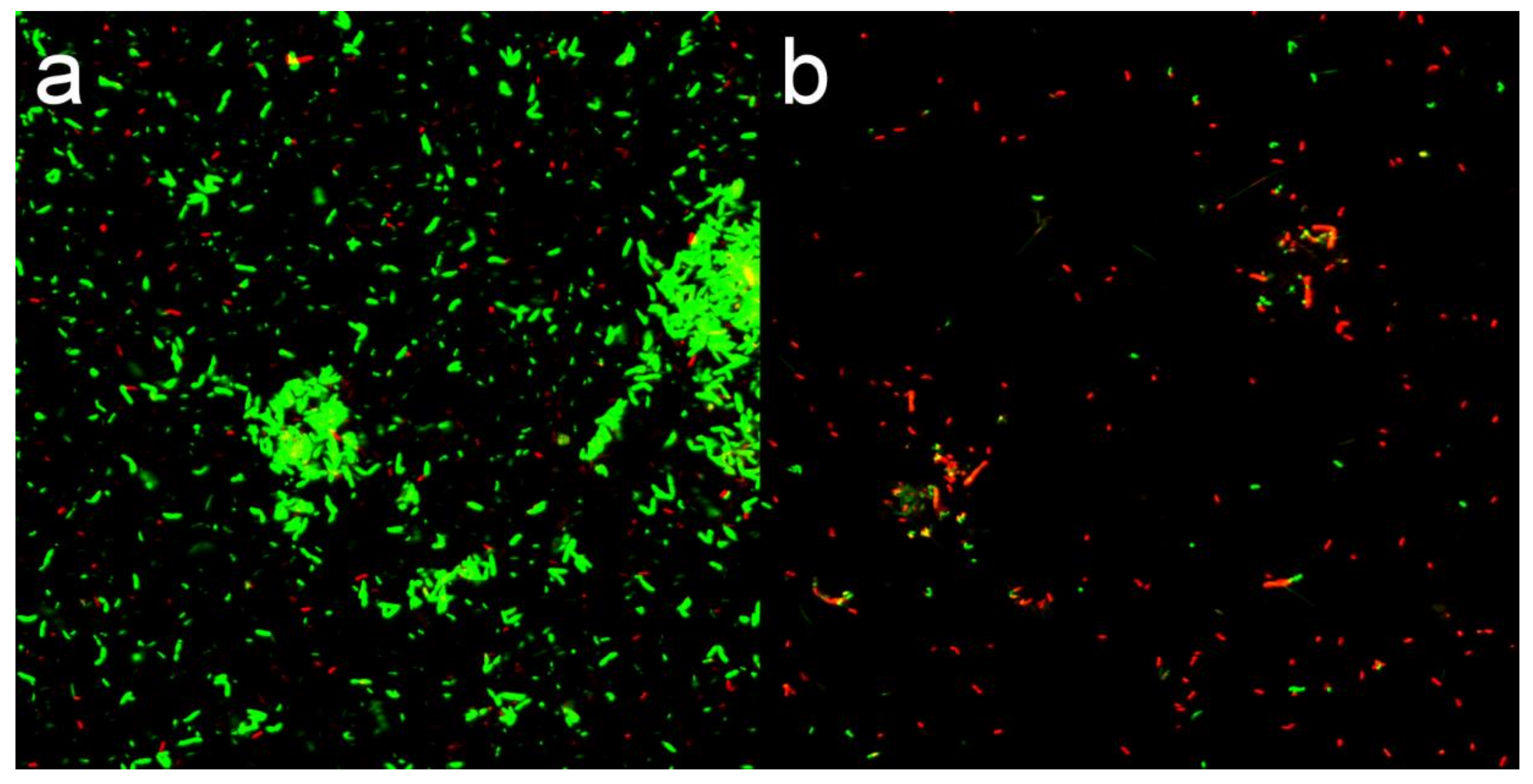 Nanomaterials 10 02007 g008