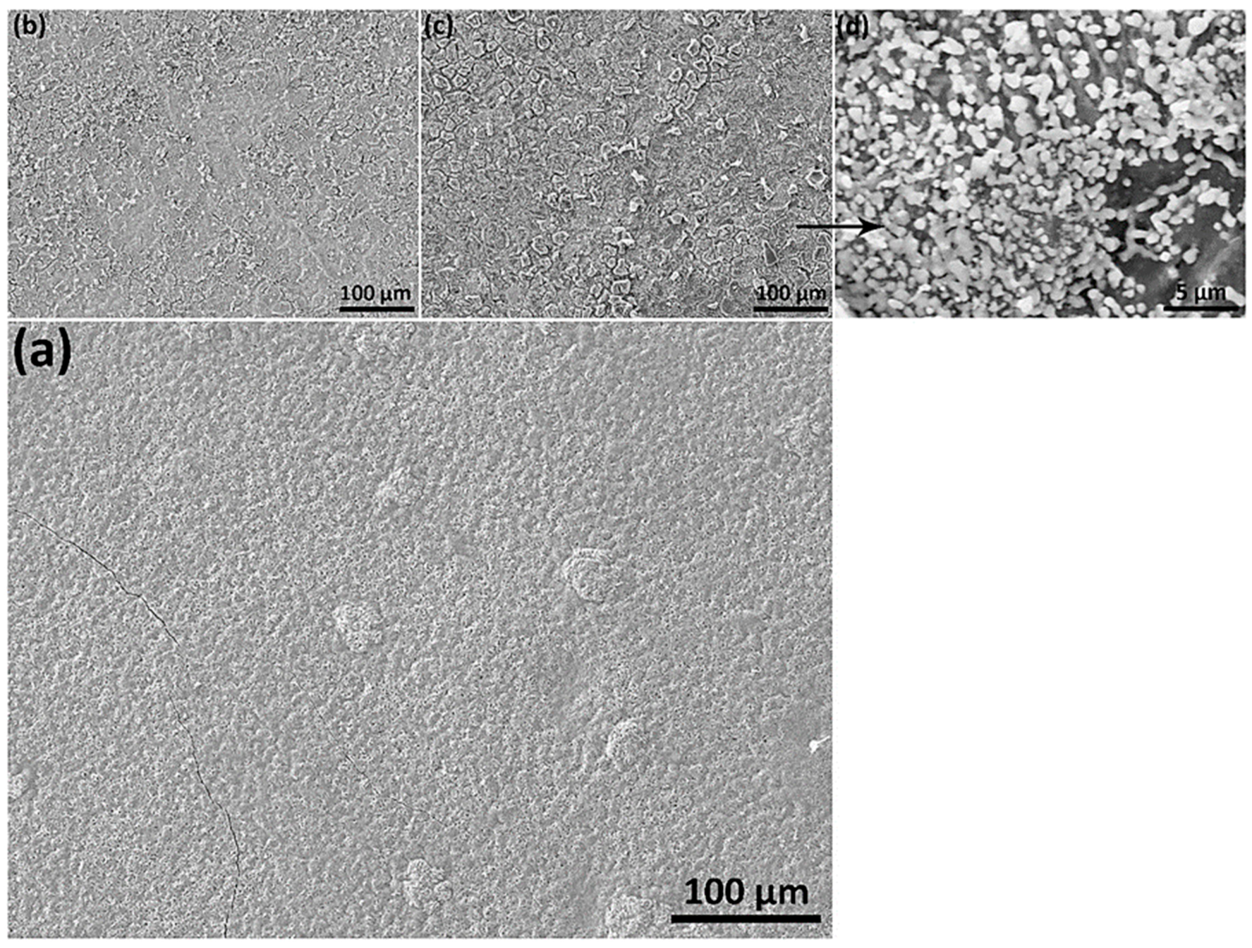 Nanomaterials 10 02010 g004 Nanomaterials 10 02010 g004