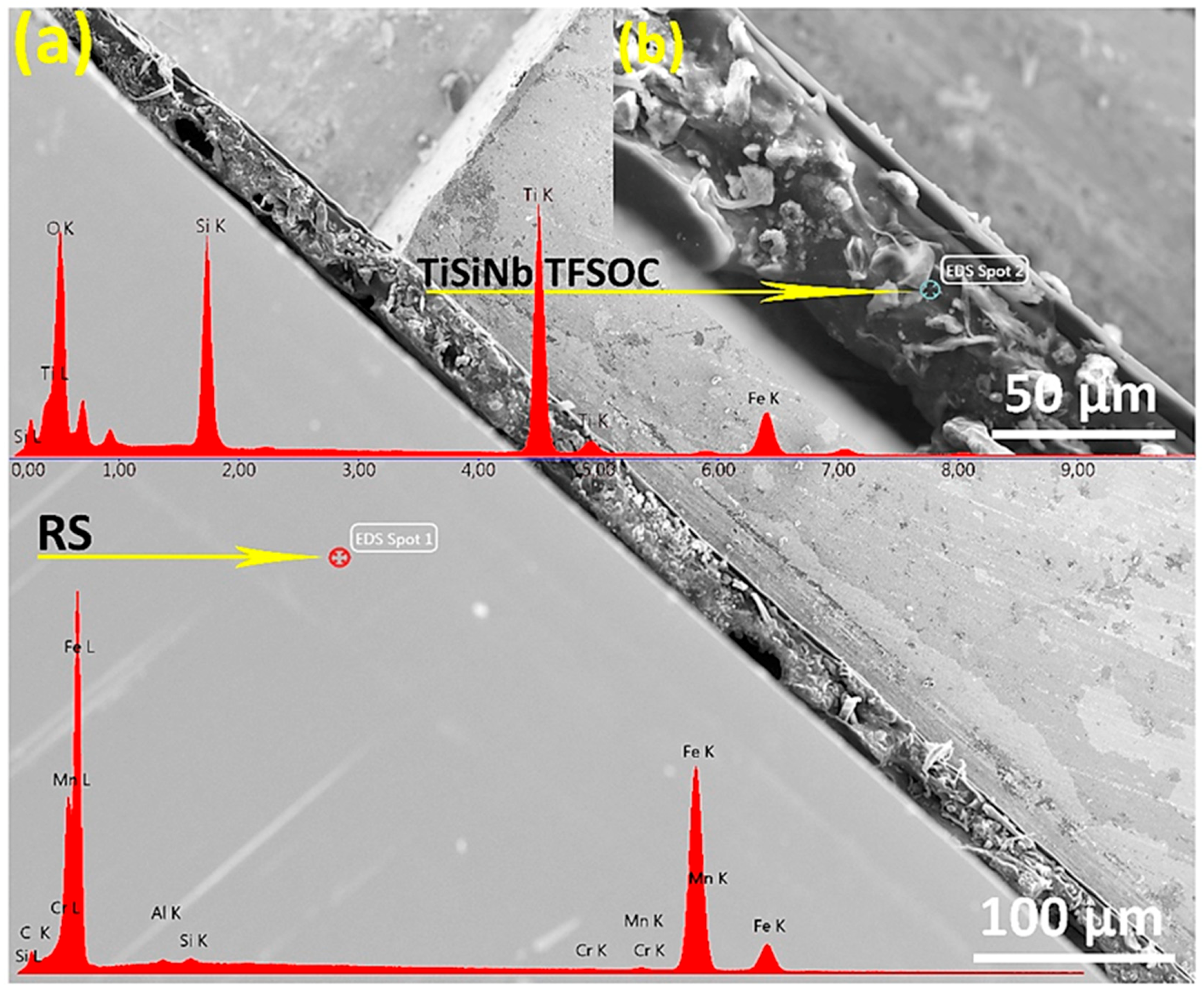 Nanomaterials 10 02010 g005 Nanomaterials 10 02010 g005