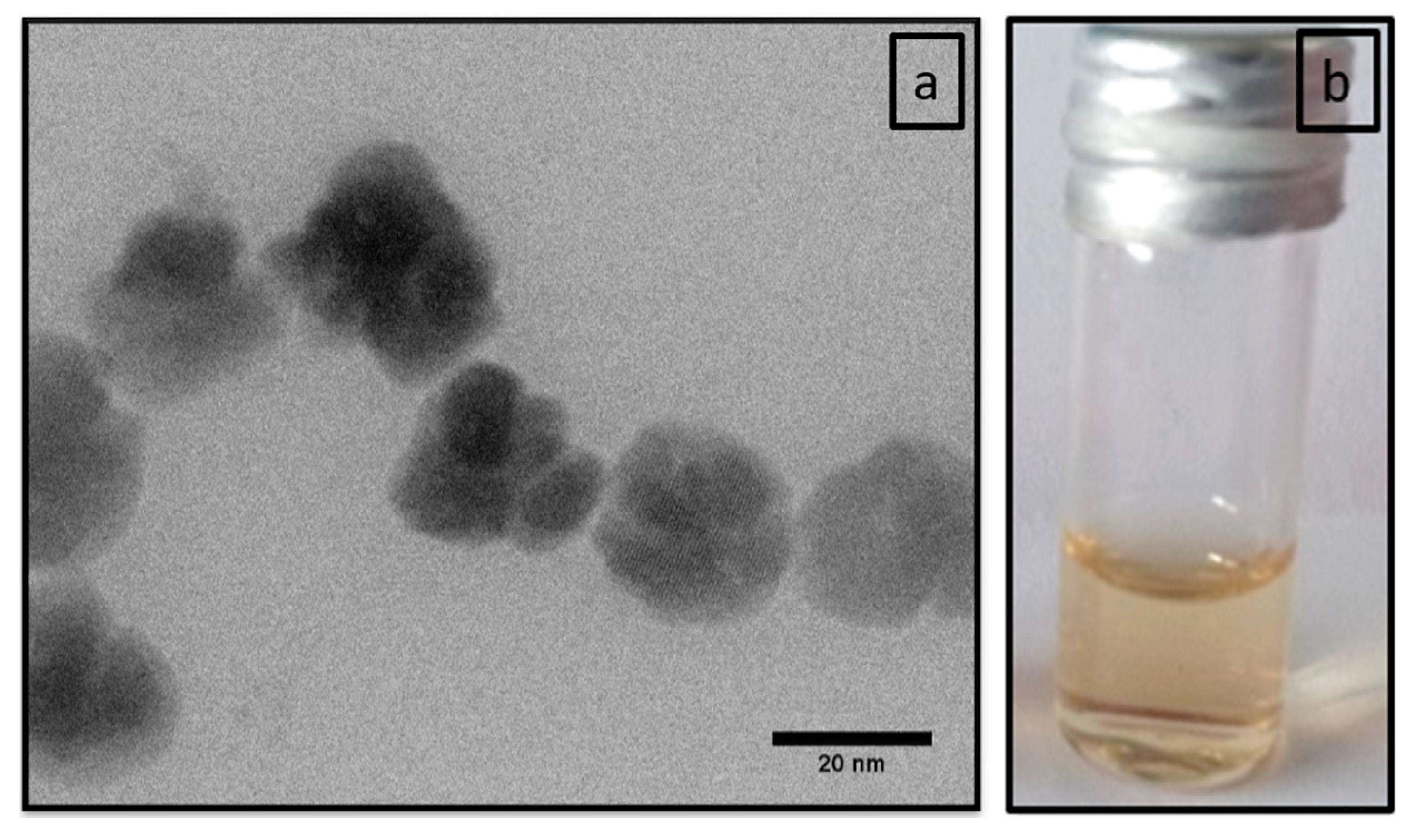 Nanomaterials 10 02014 g001