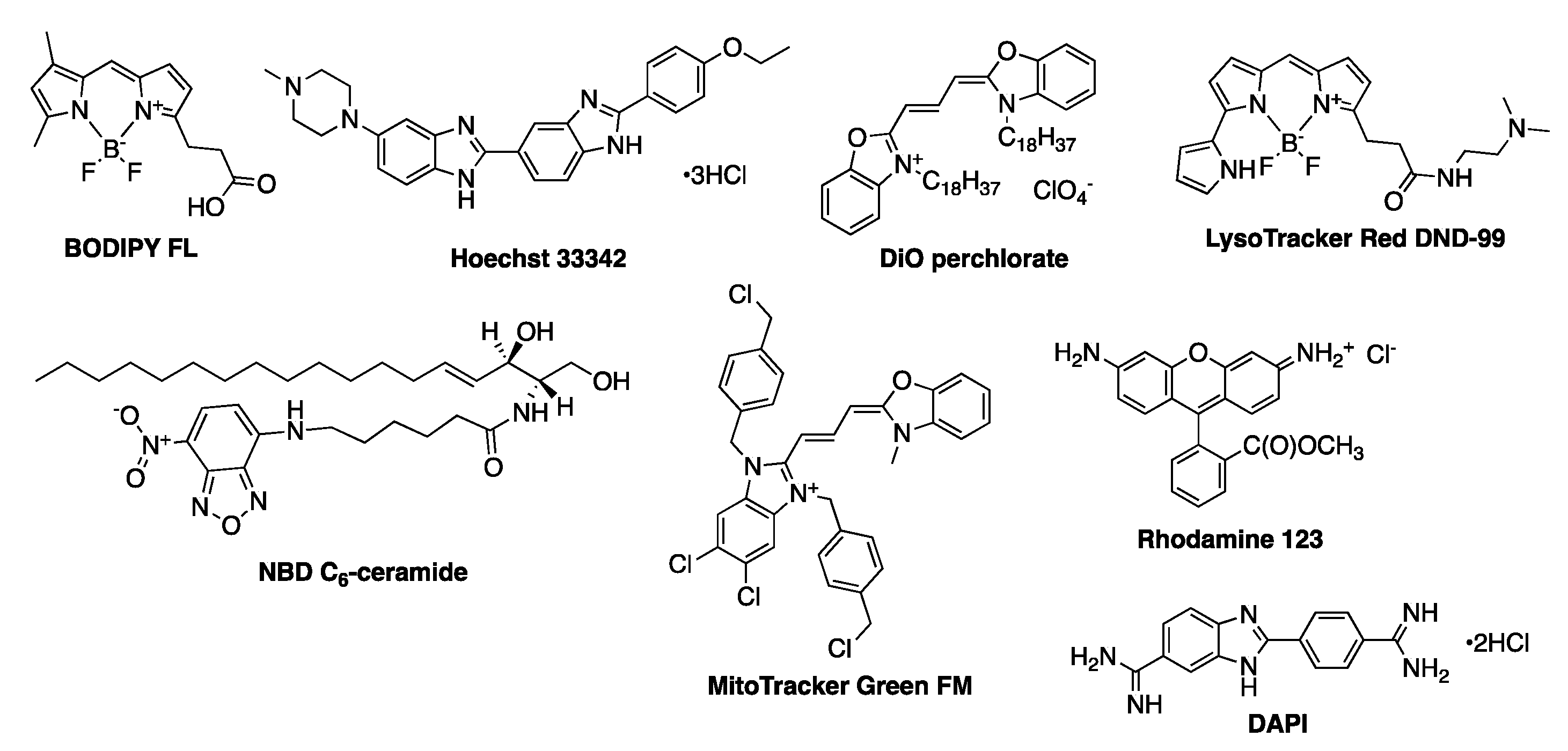 Nanomaterials 10 02015 g003 Nanomaterials 10 02015 g003