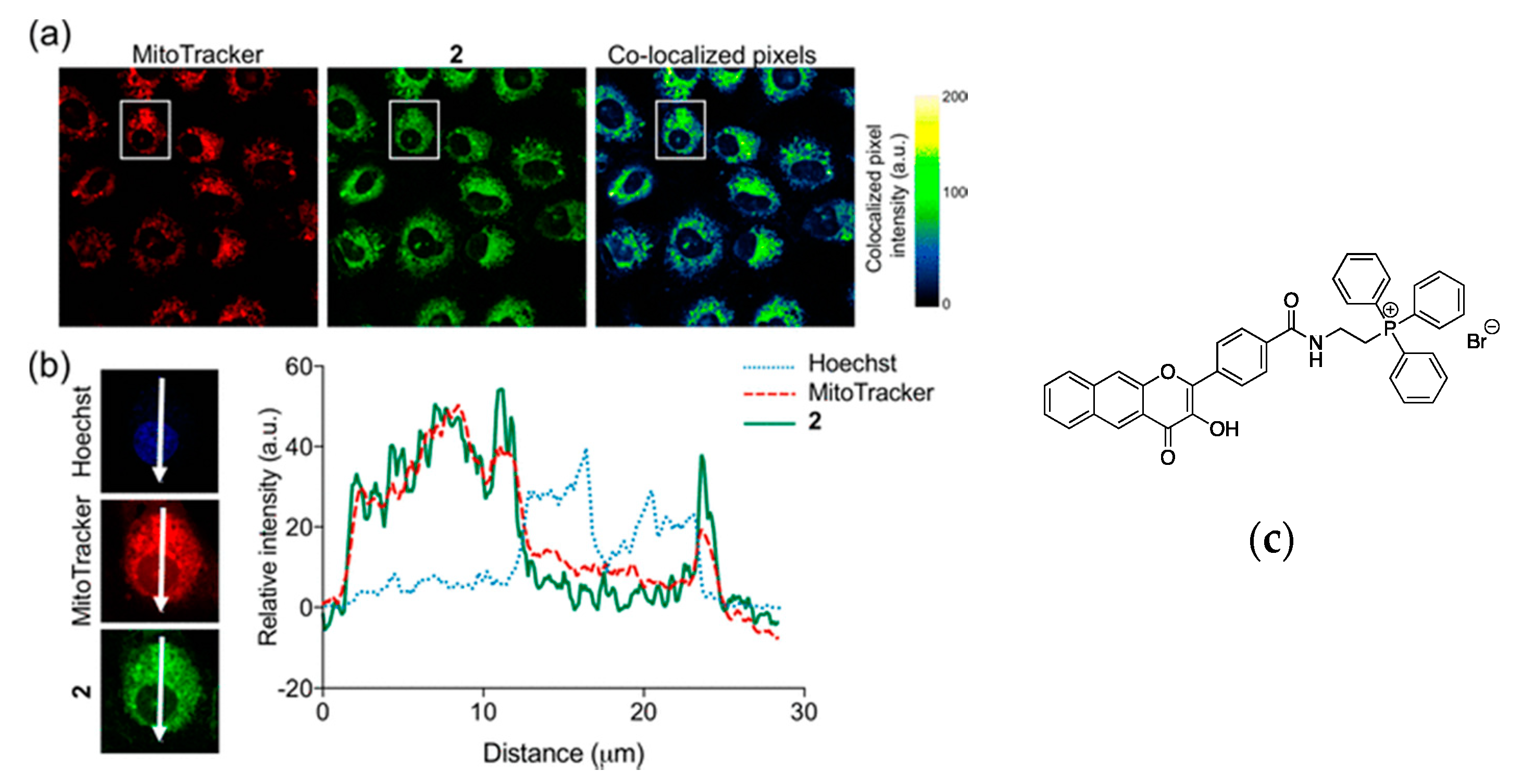 Nanomaterials 10 02015 g004 Nanomaterials 10 02015 g004