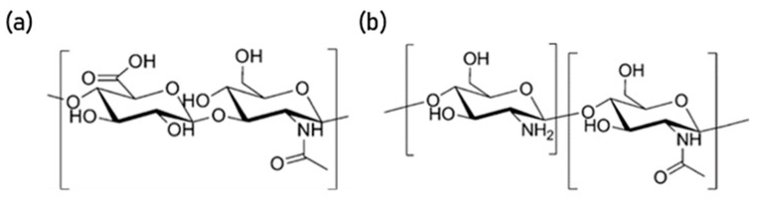 Nanomaterials 10 02016 g001