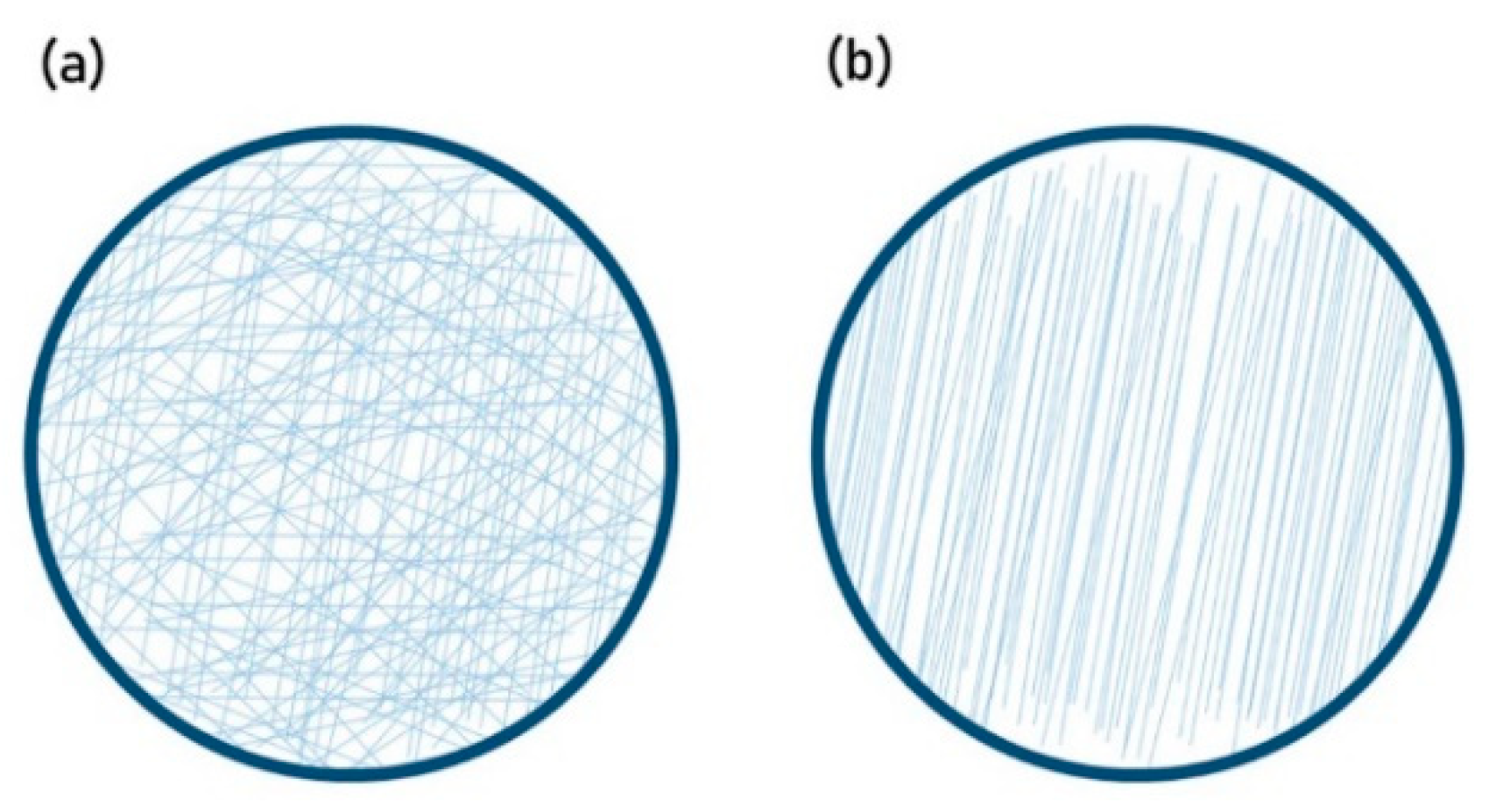 Nanomaterials 10 02016 g002