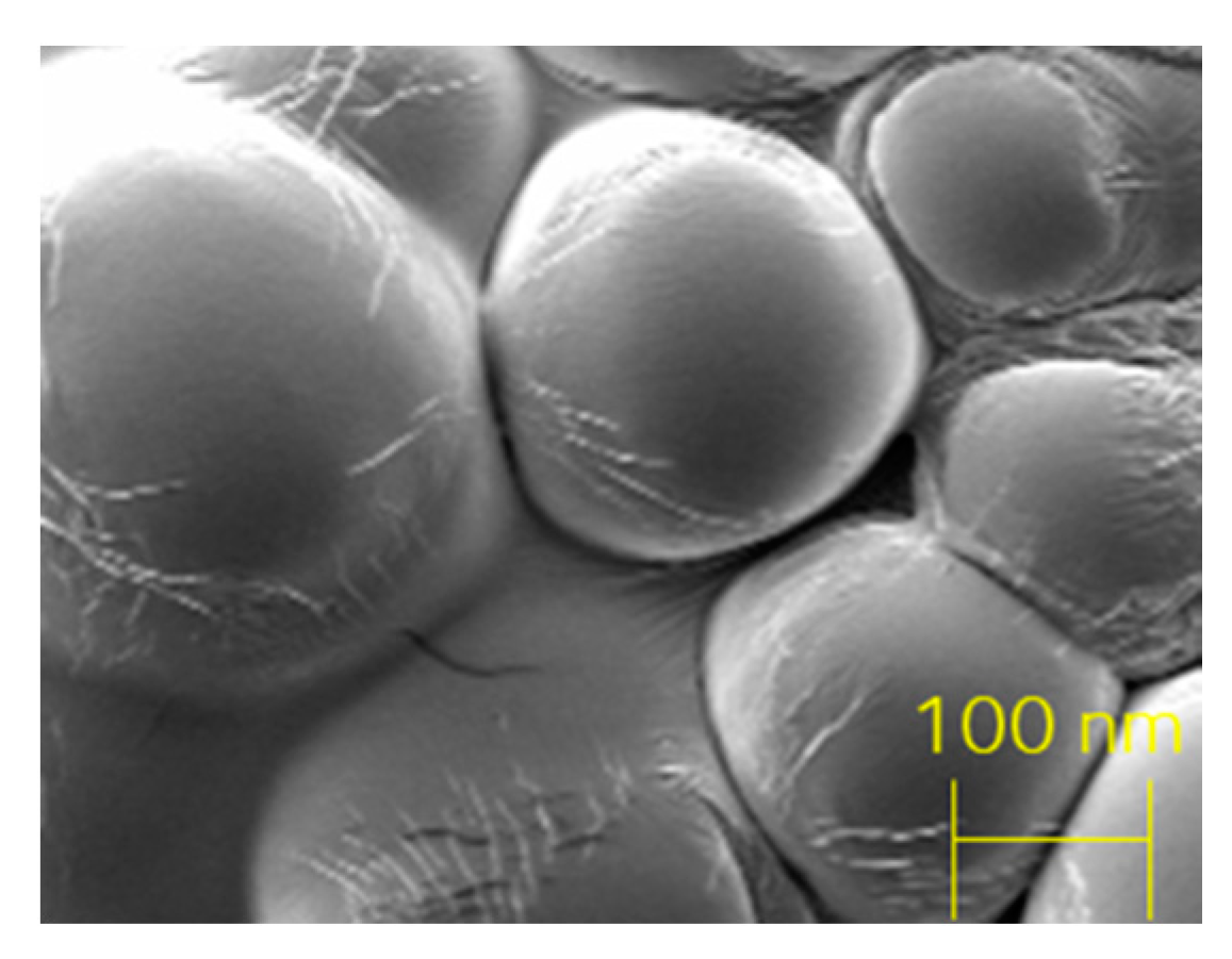 Nanomaterials 10 02016 g011