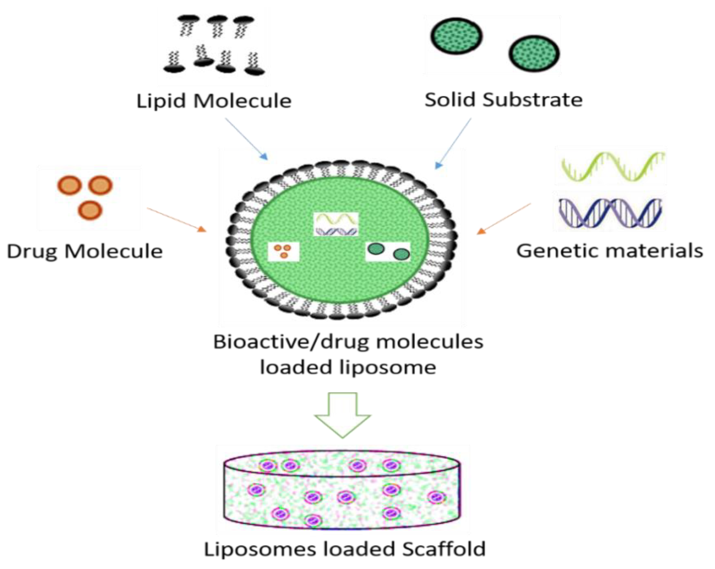 Nanomaterials 10 02019 g003