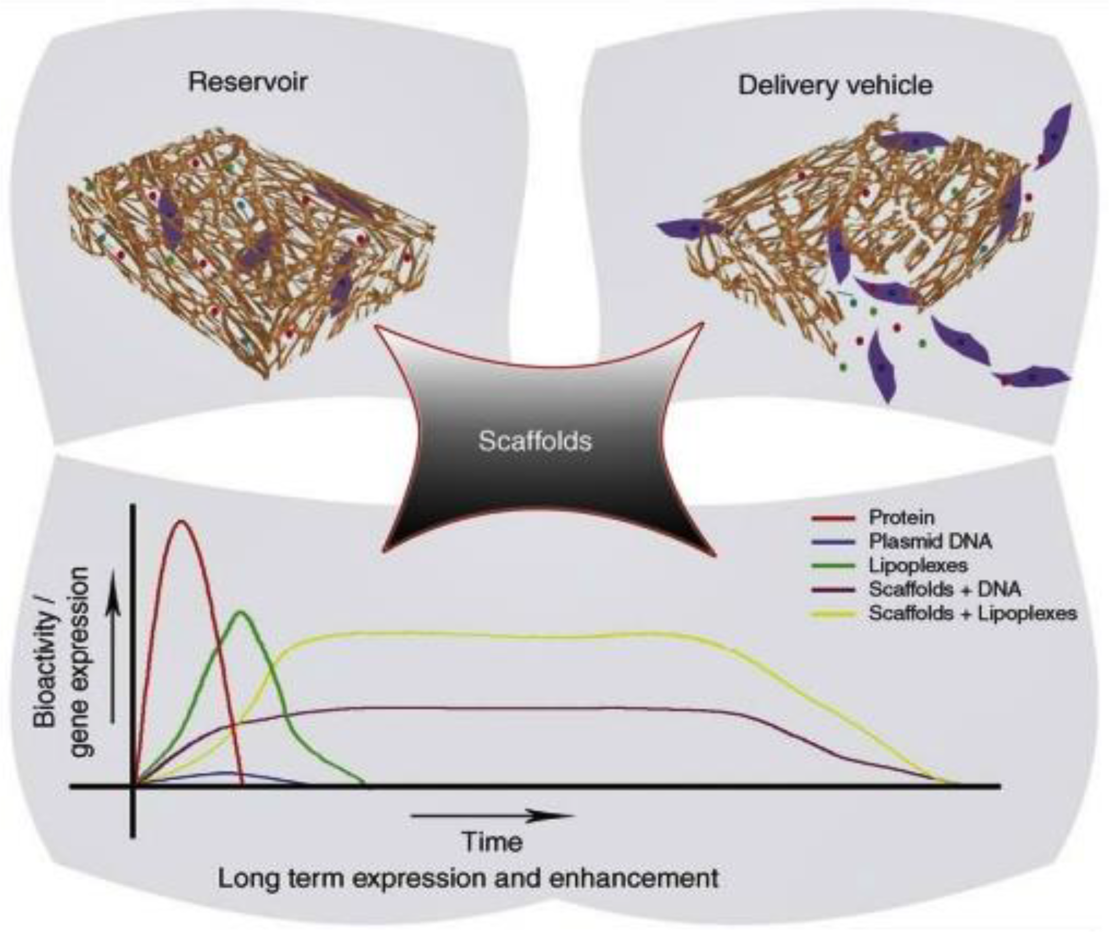 Nanomaterials 10 02019 g004